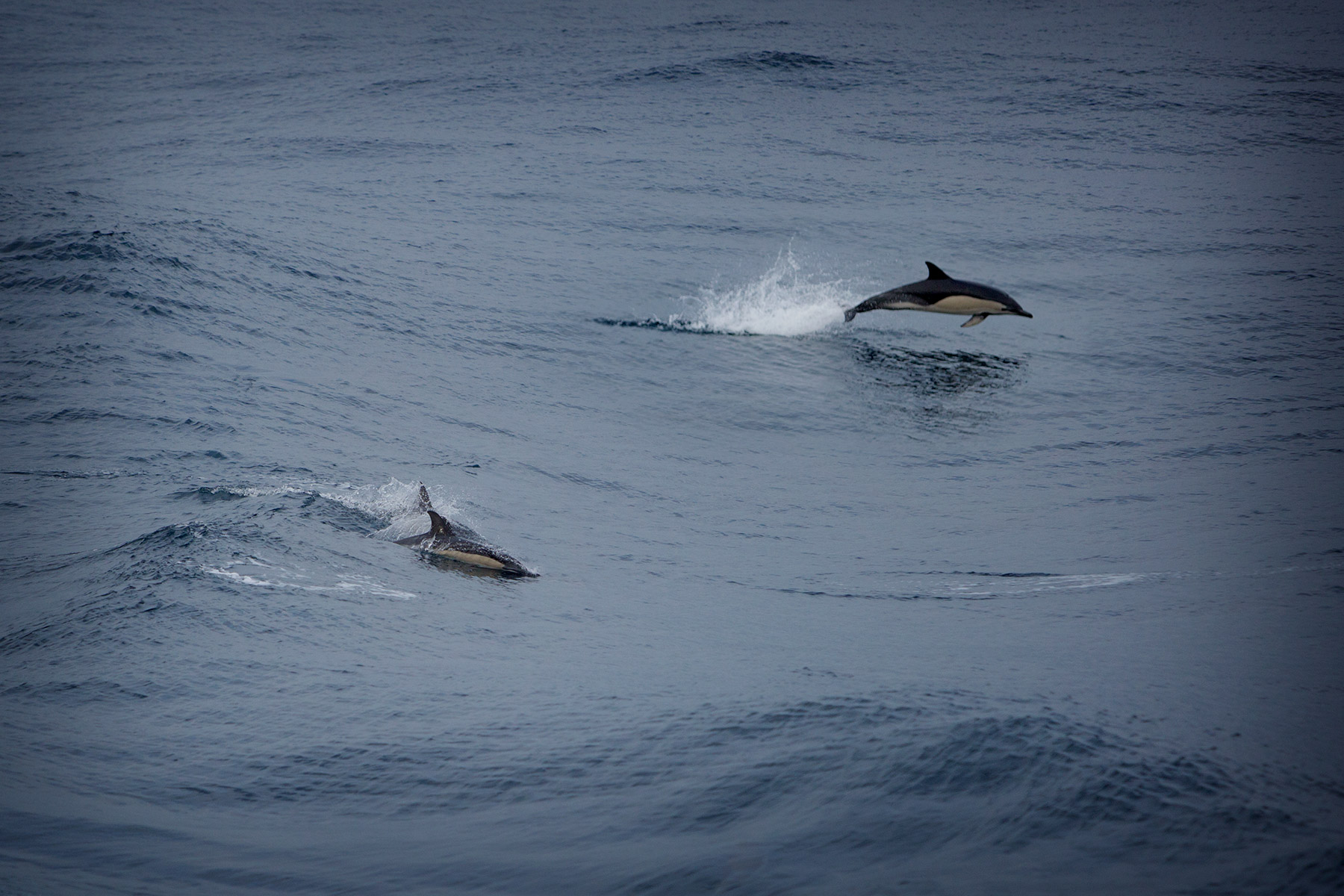 blogg-180217farjanportosanto20.jpg