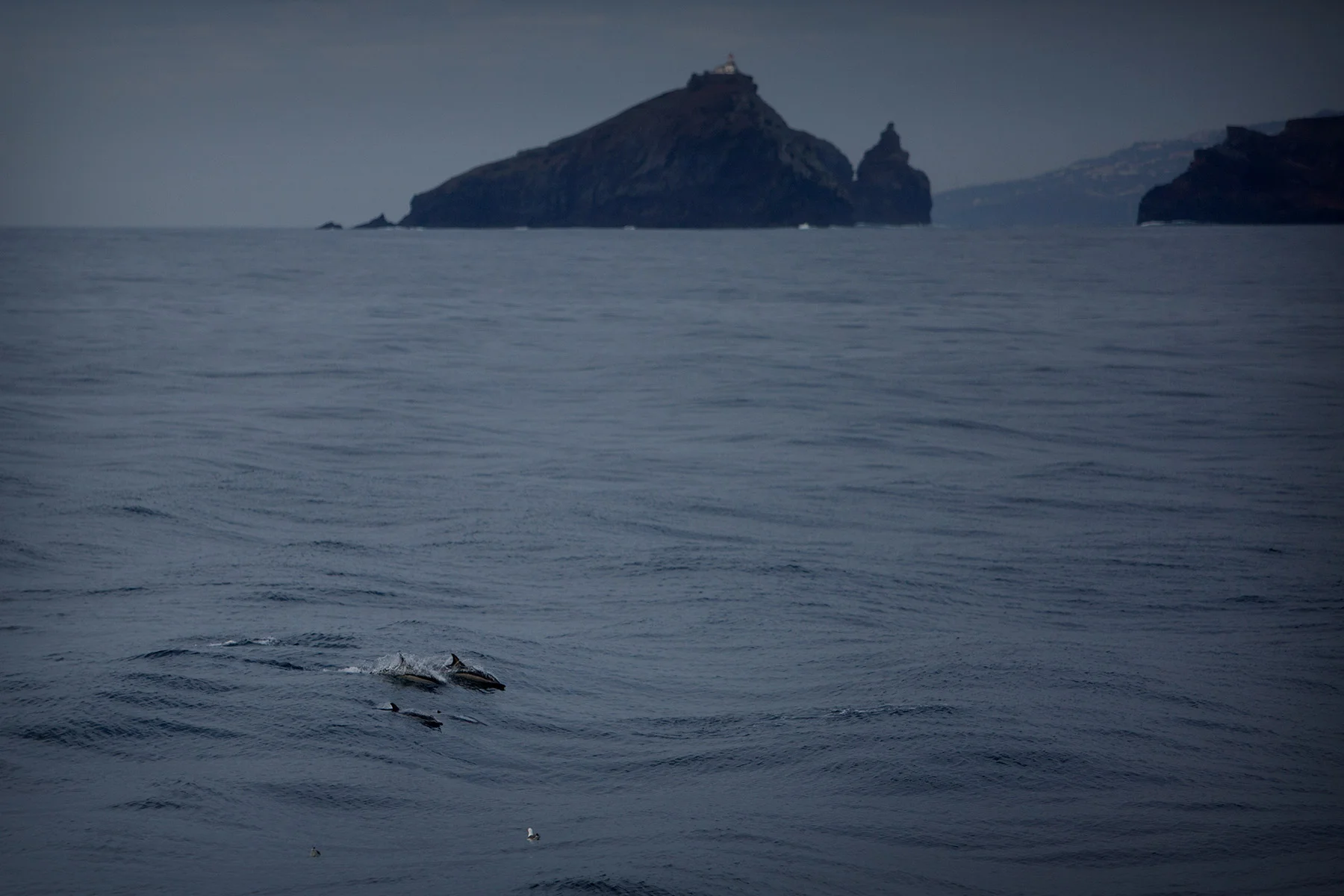 blogg-180217farjanportosanto21.jpg