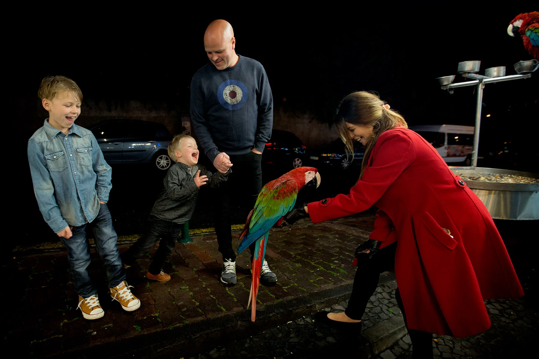blogg-180218papegojrestaurang2.jpg