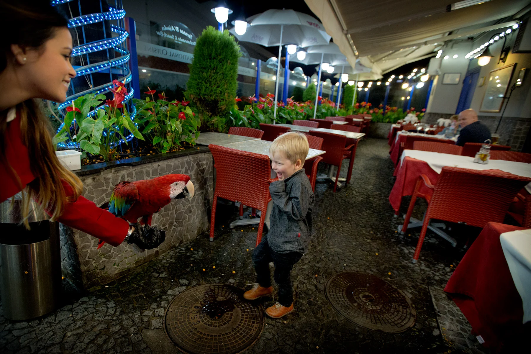 blogg-180218papegojrestaurang5.jpg
