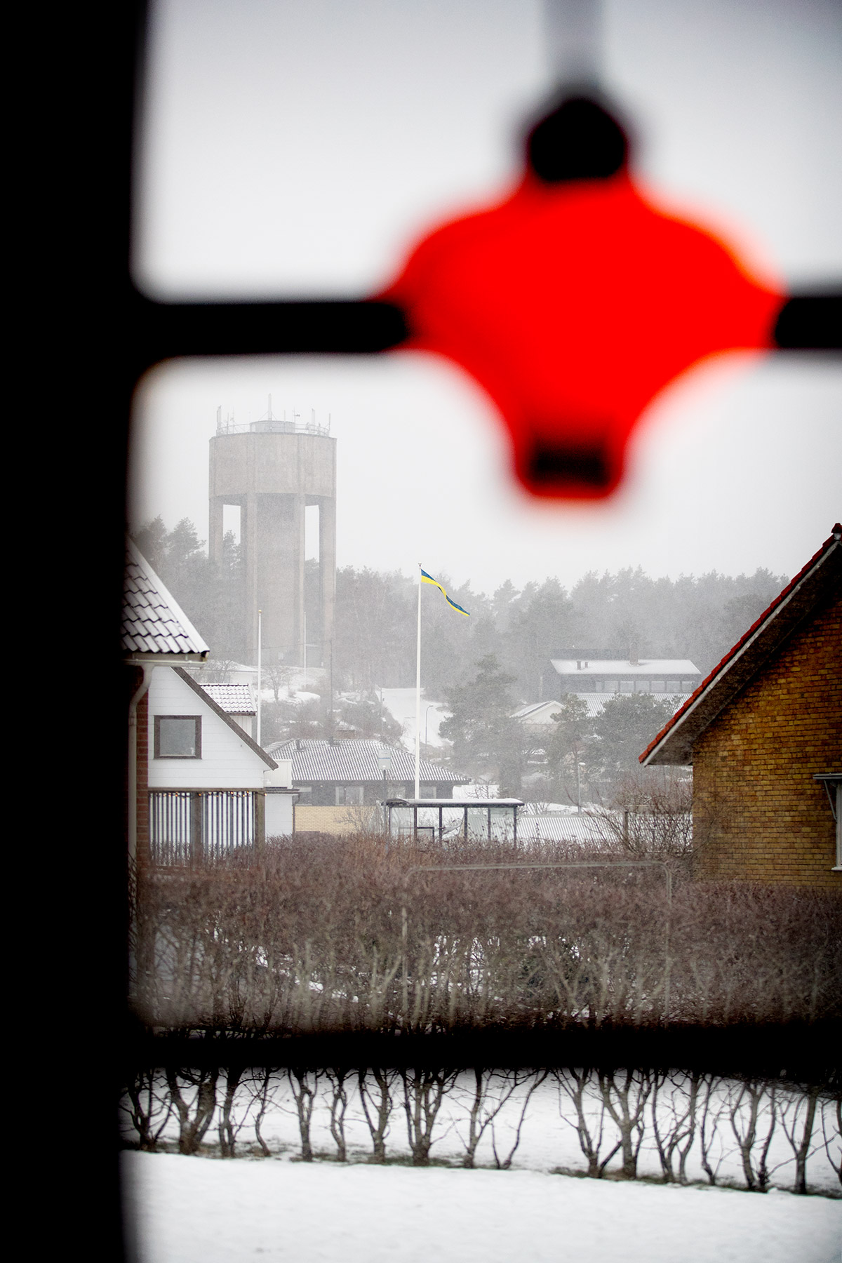 blogg-180305snoigledigdag6.jpg