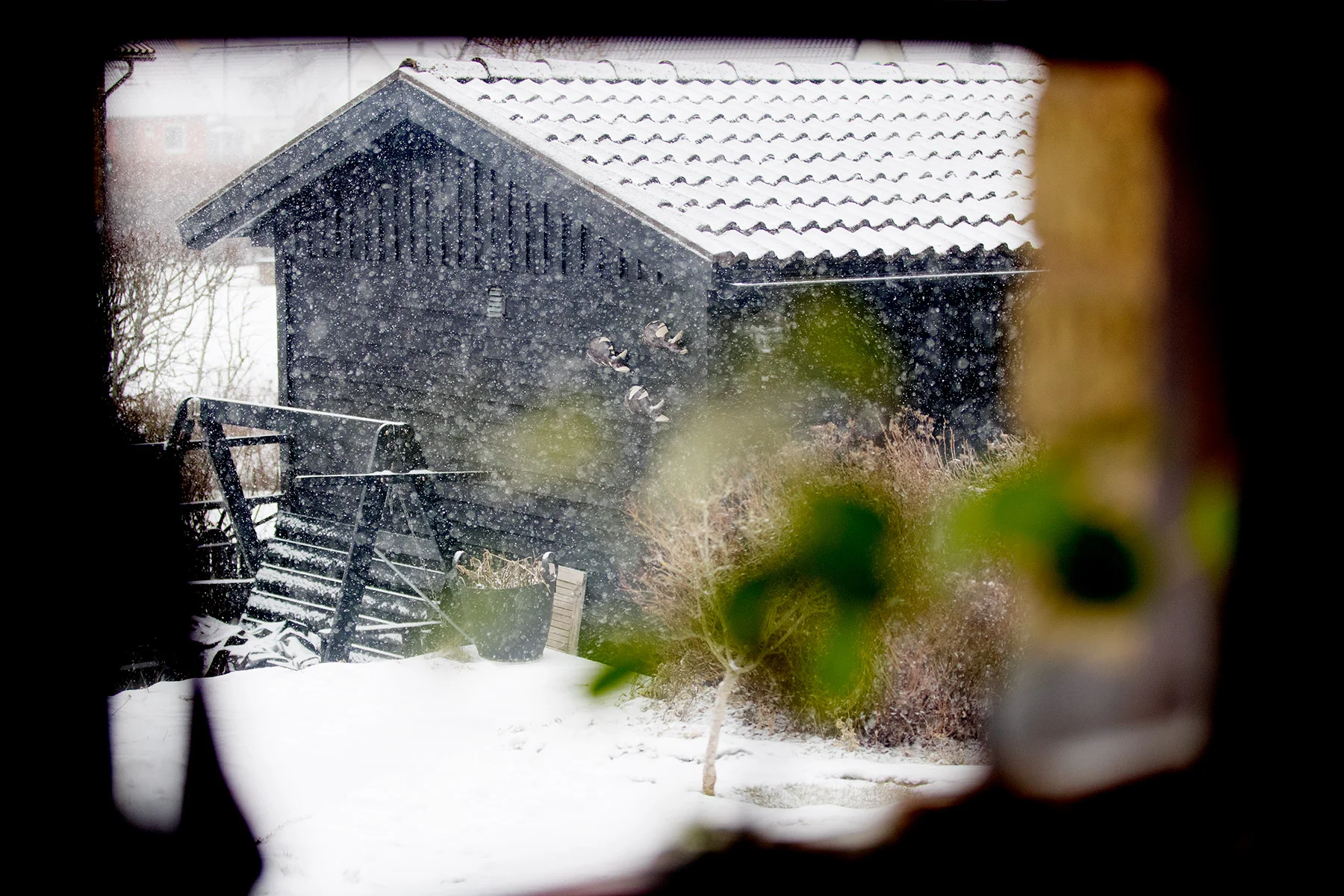blogg-180305snoigledigdag3.jpg