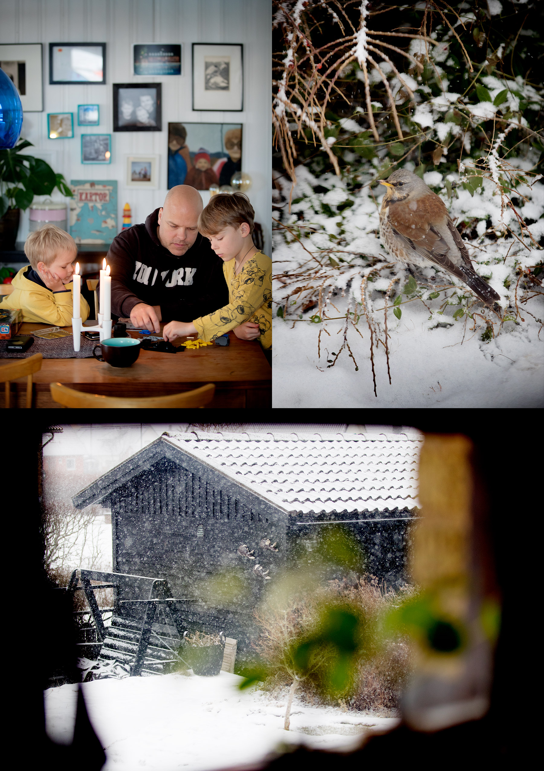 Ledigdag med snöfall