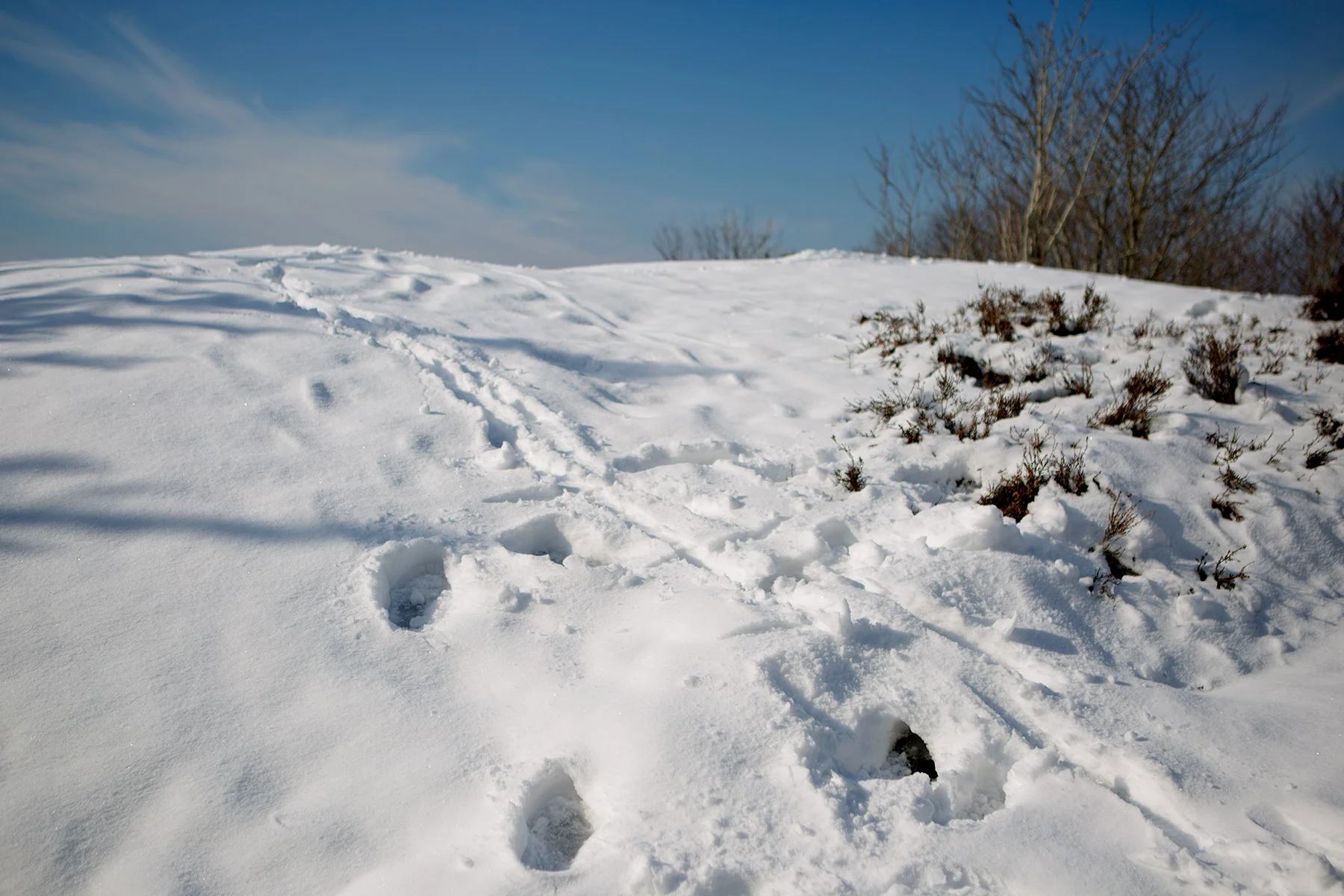blogg-180310solpromenad1.jpg