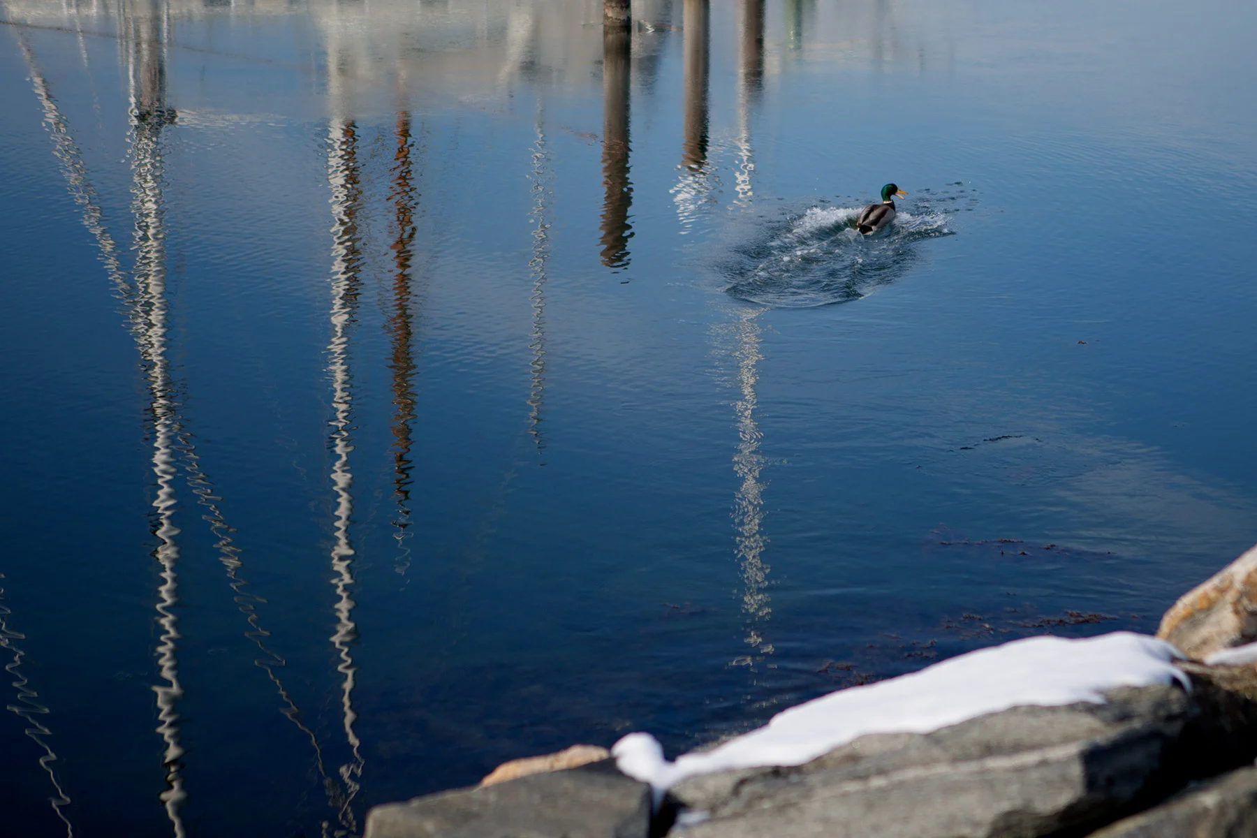 blogg-180310solpromenad18.jpg