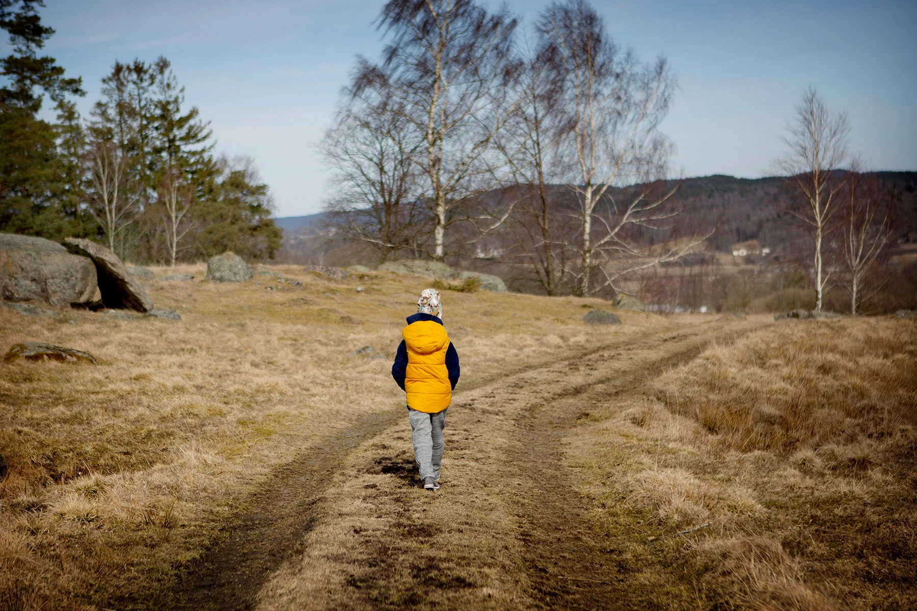 blogg-180407tharstorpaskogen4.jpg