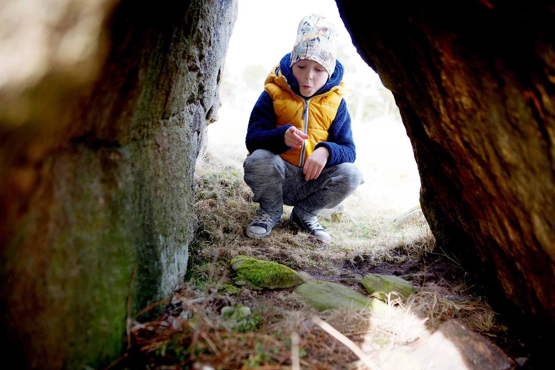 blogg-180407tharstorpaskogen8.jpg