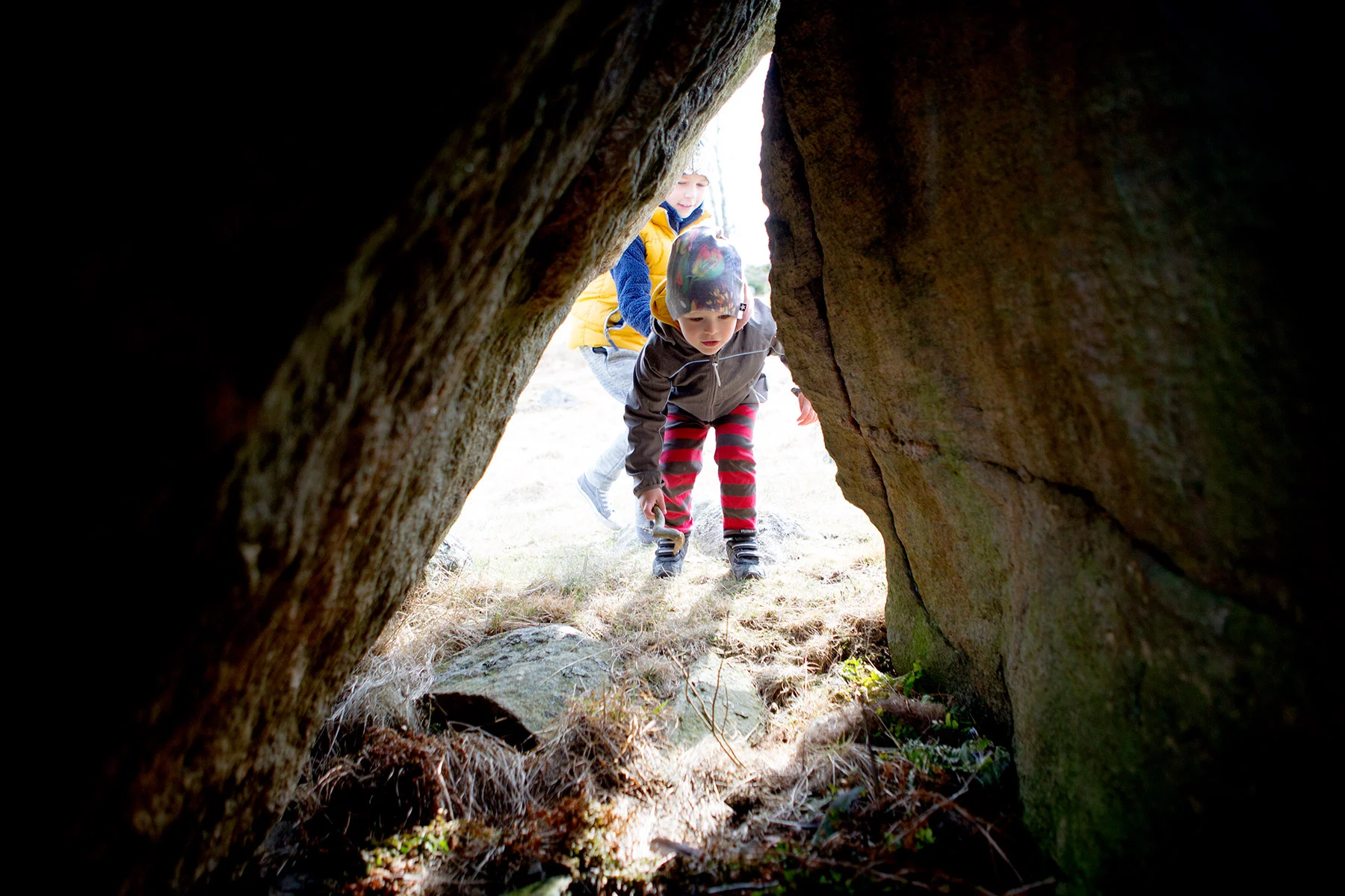 blogg-180407tharstorpaskogen10.jpg