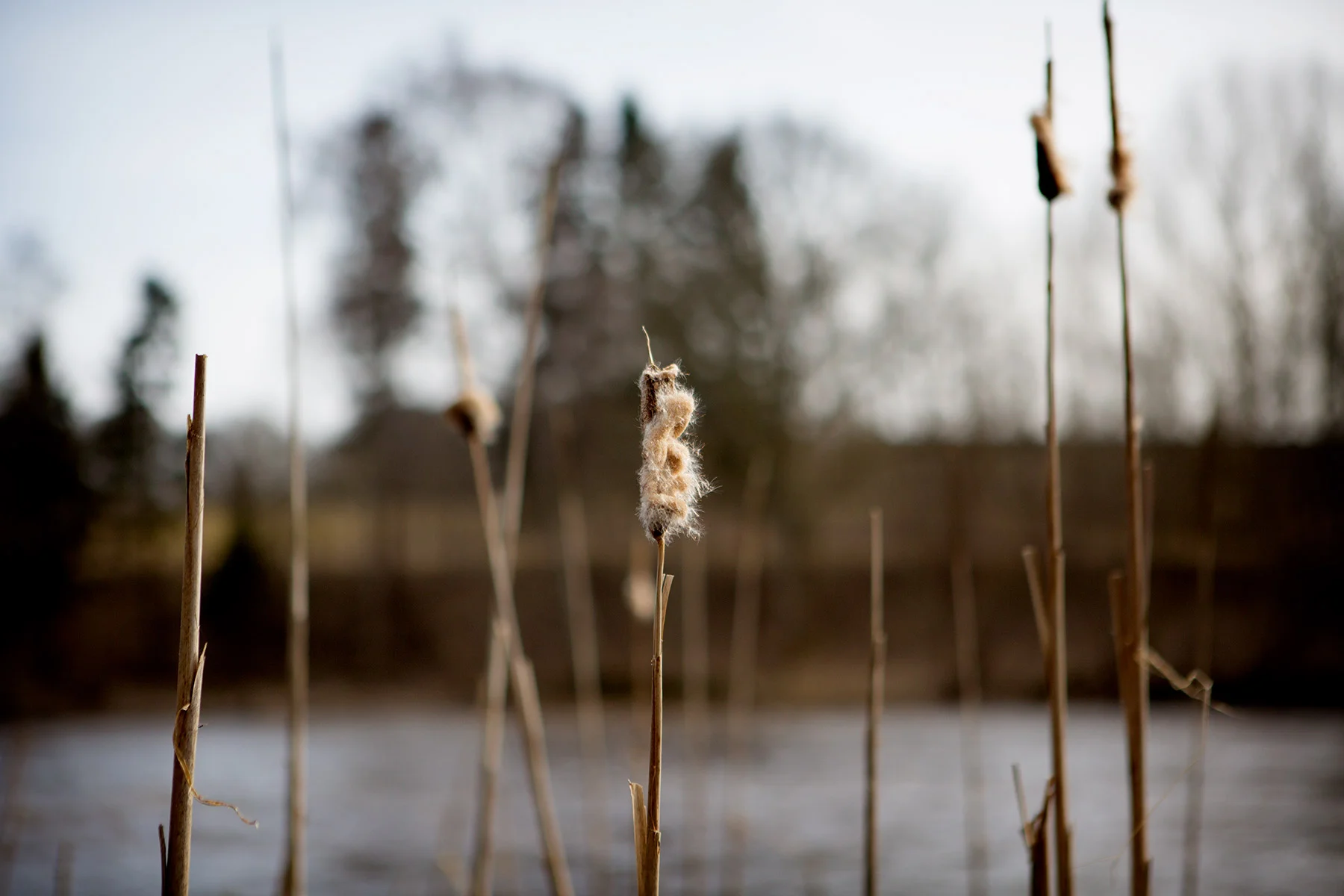 blogg-180407asbro10.jpg