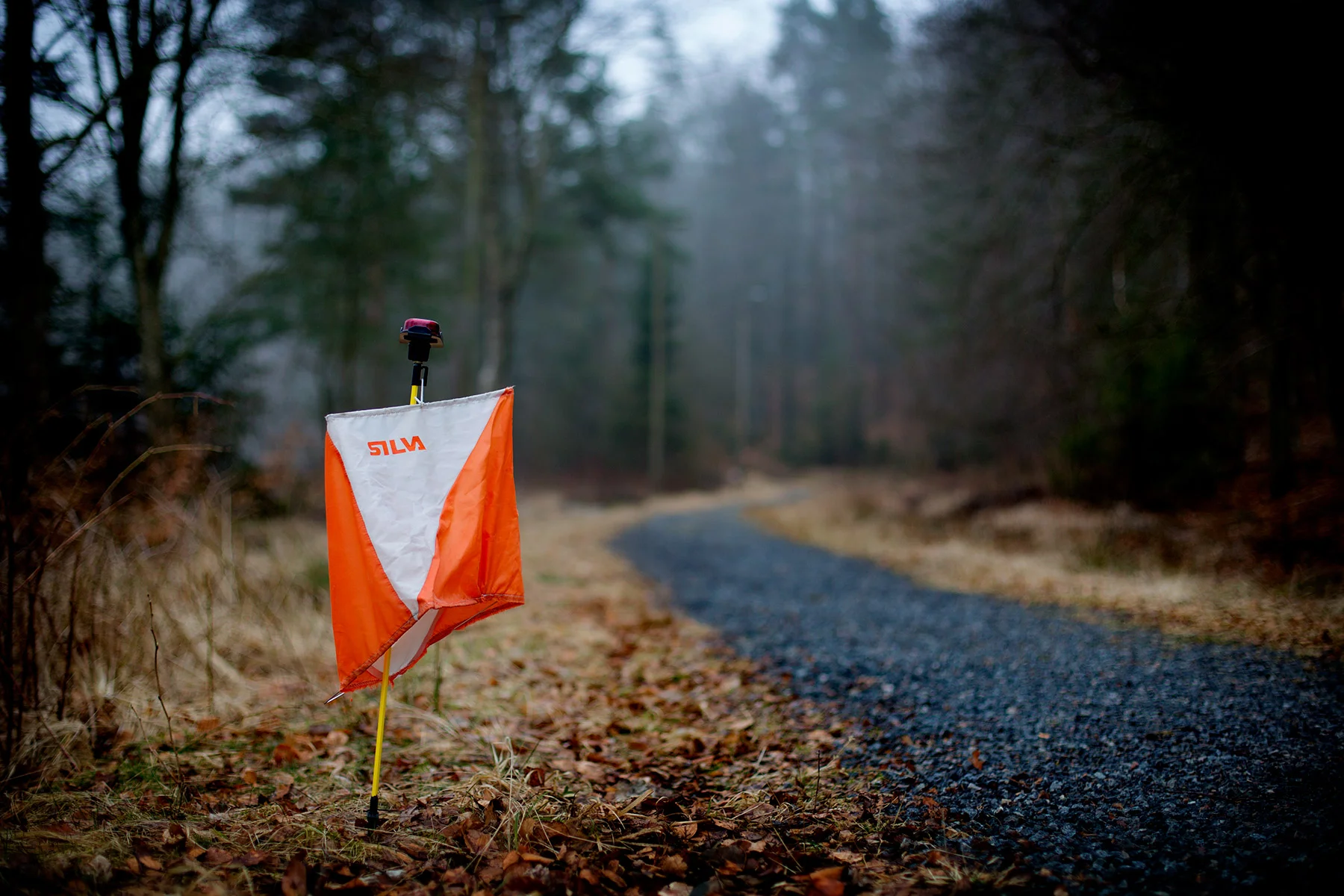 blogg-180415orienteringskurs13.jpg