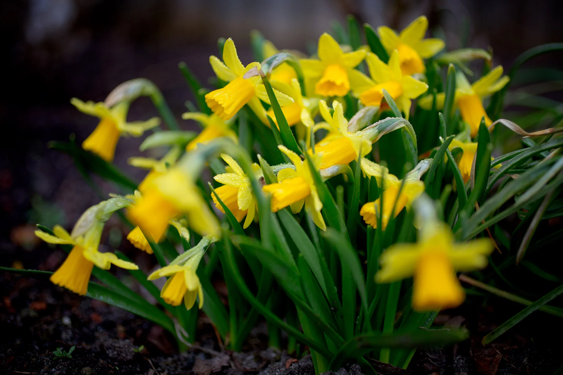 blogg-180417vab6.jpg