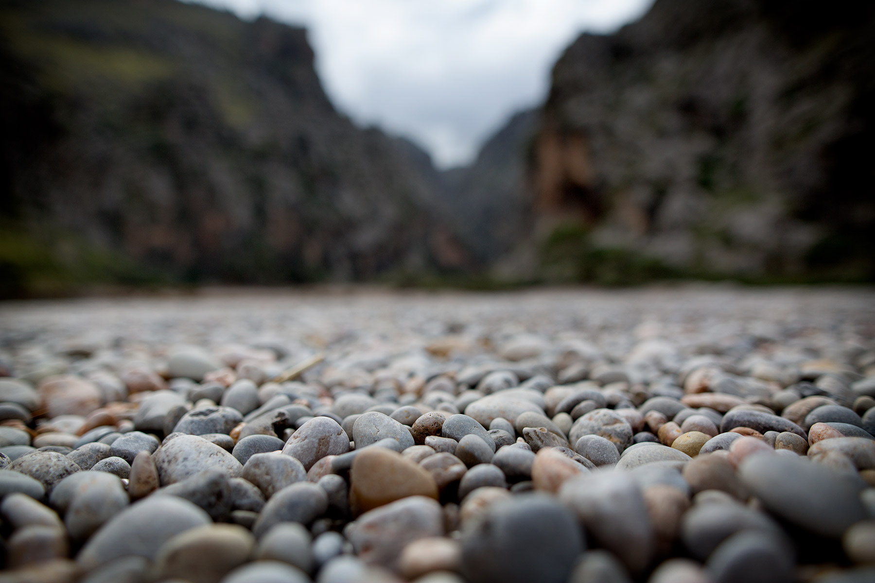 blogg-180501sacalobra34.jpg