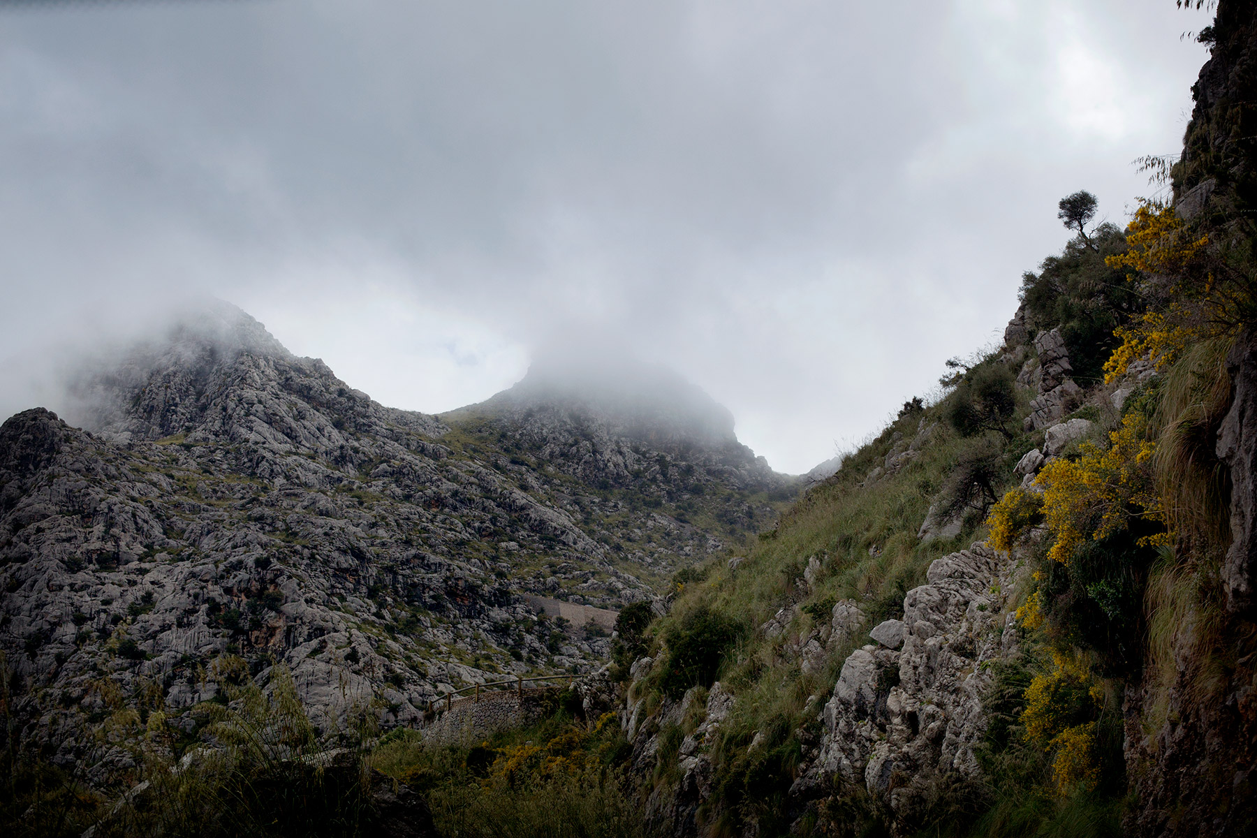 blogg-180501sacalobra45.jpg