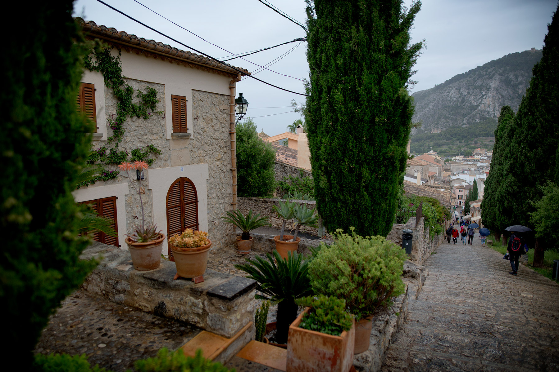 blogg-180504pollenca4.jpg