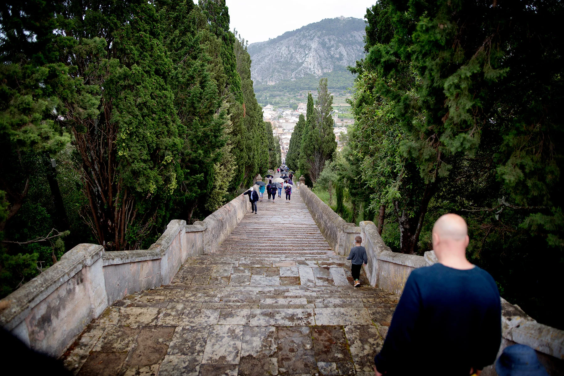 blogg-180504pollenca13.jpg