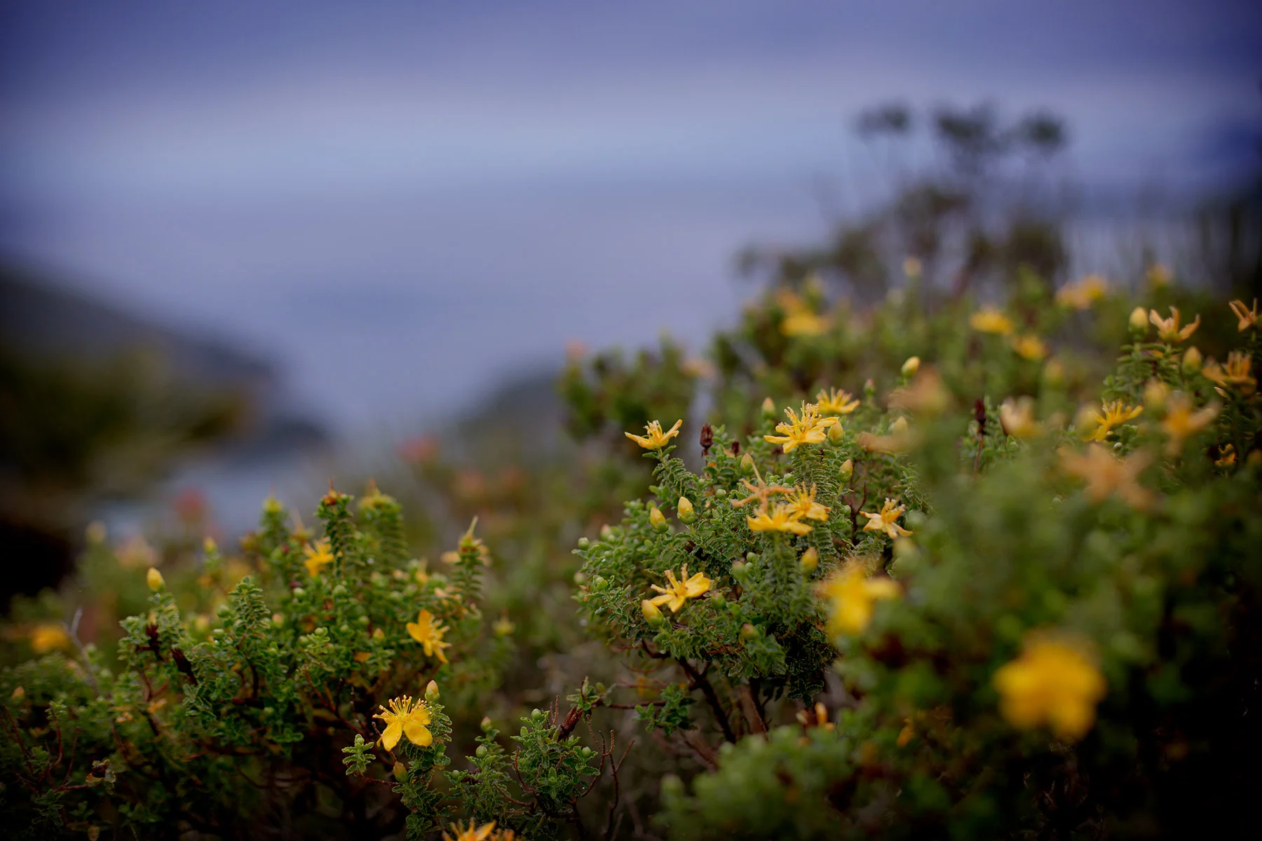 blogg-180504talaiadealbercutx8.jpg