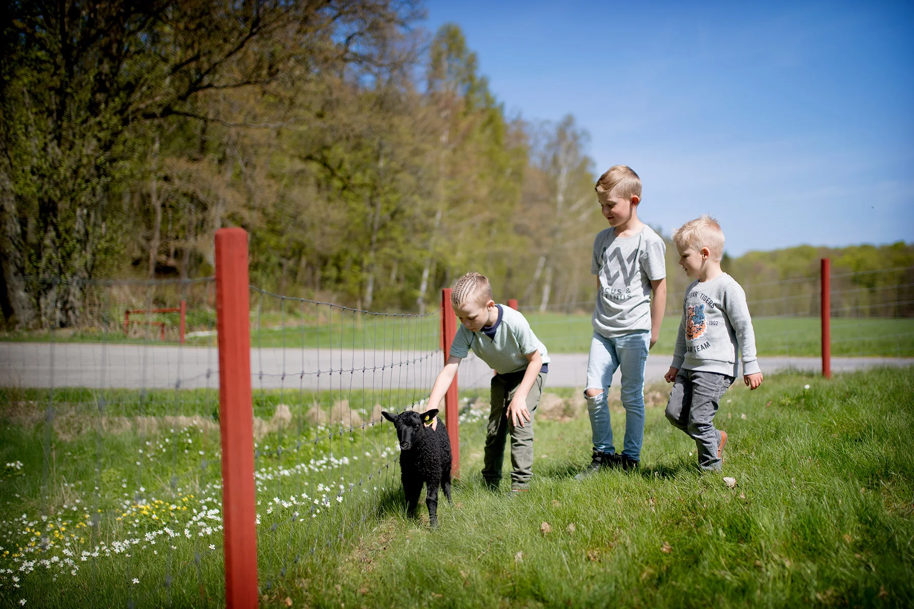 blogg-180506akturen32.jpg
