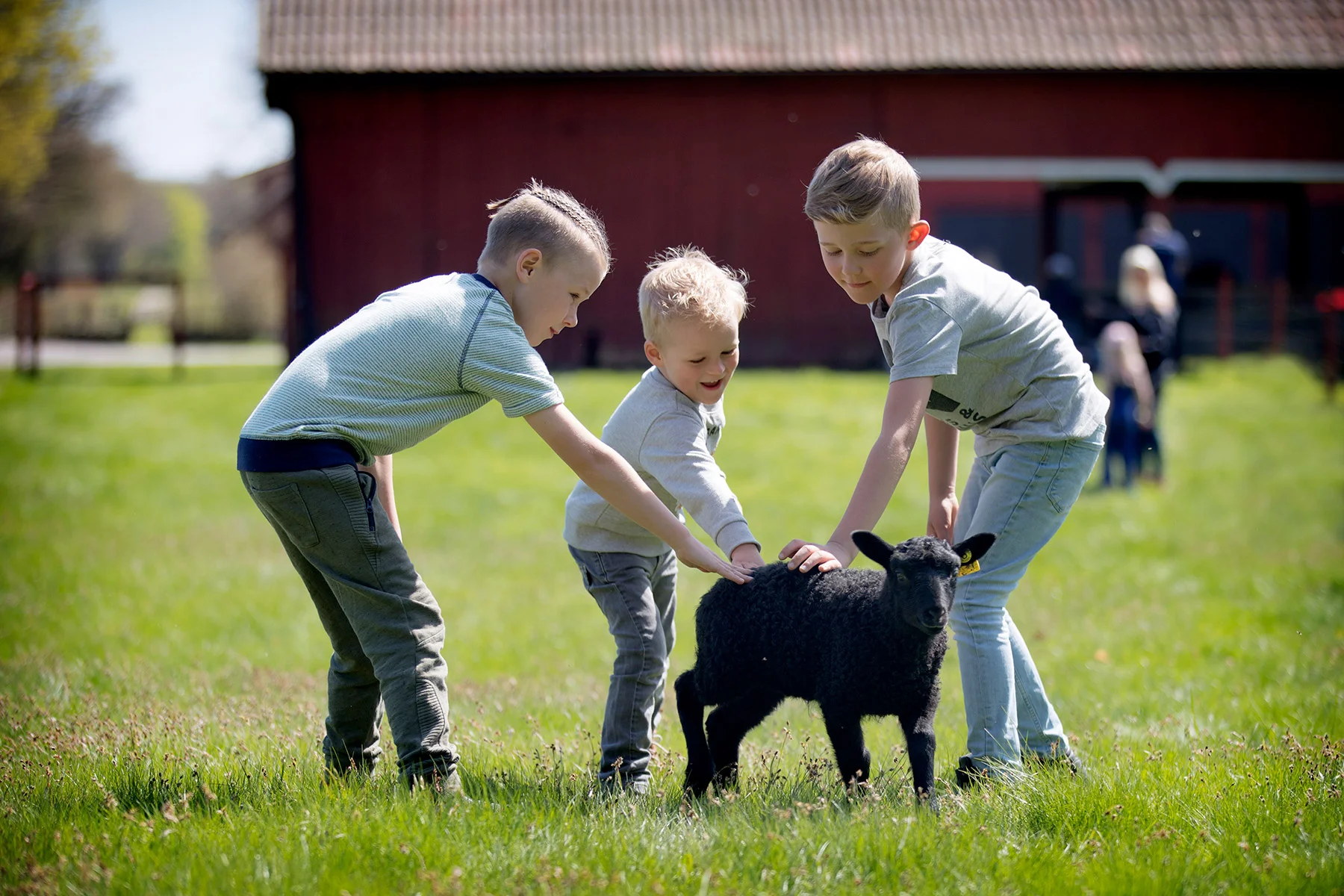 blogg-180506akturen34.jpg