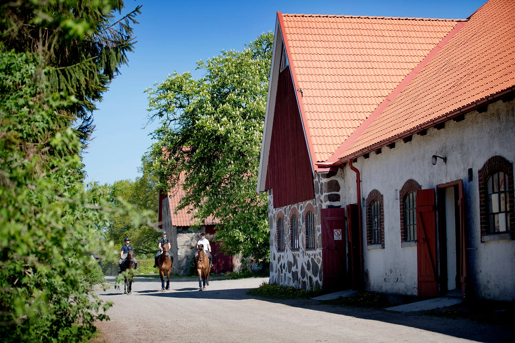 blogg-180509svedala1.jpg