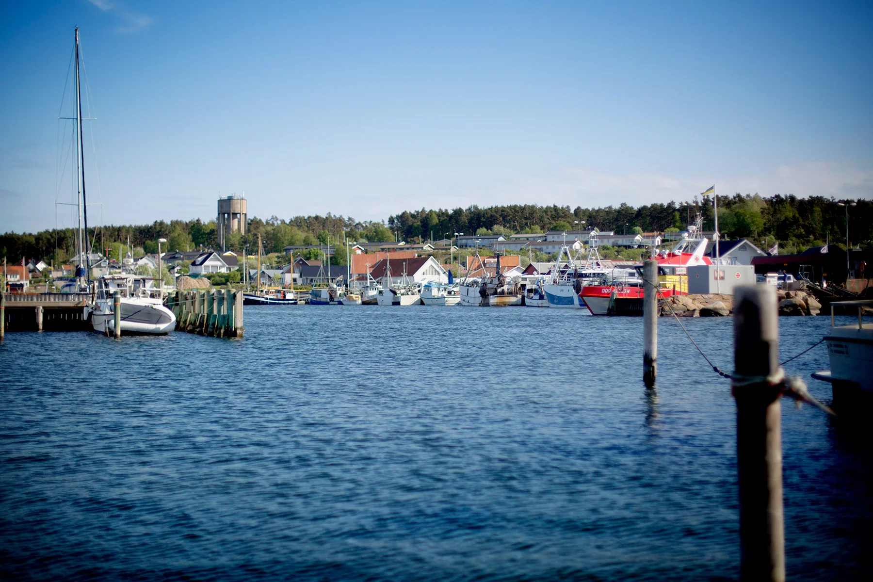 blogg-180512batfix1.jpg