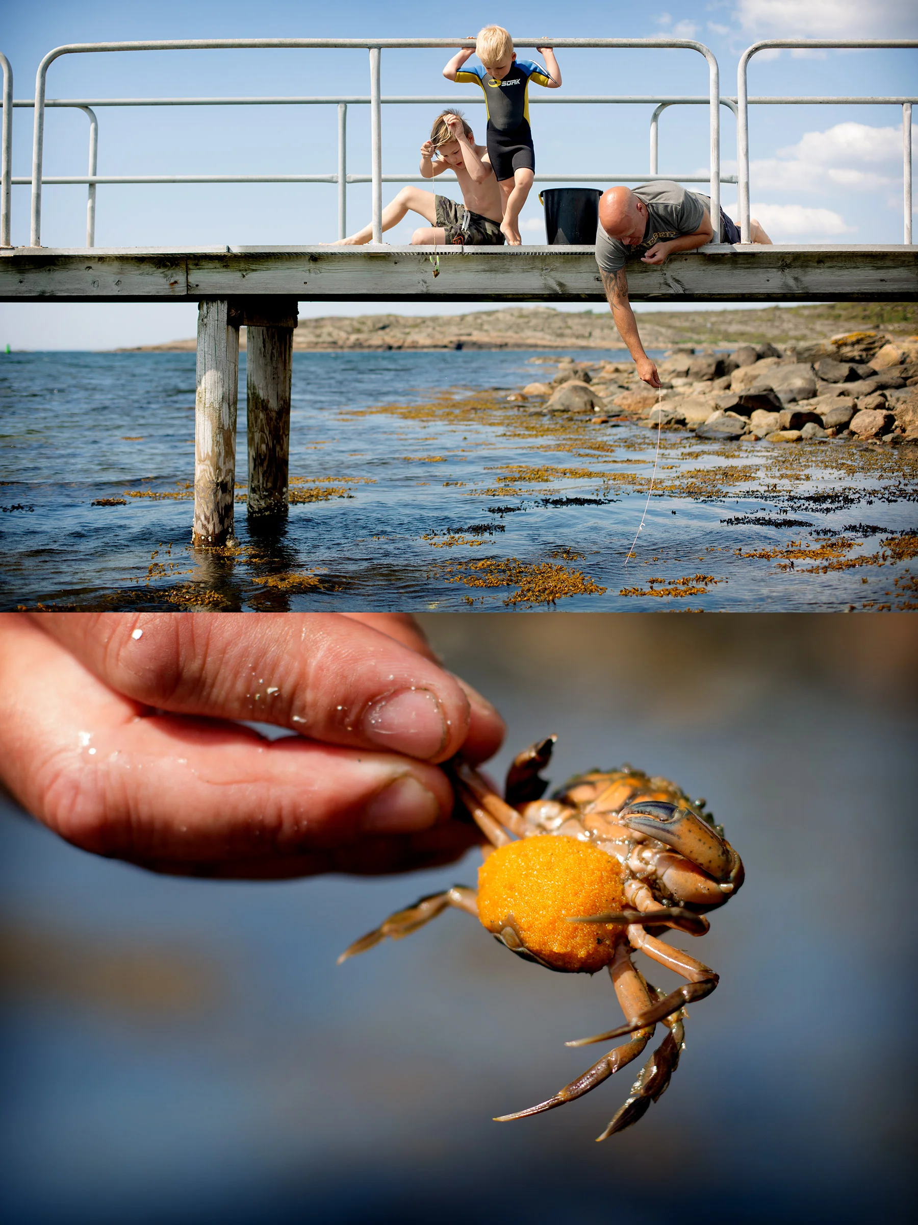 Krabbfiske