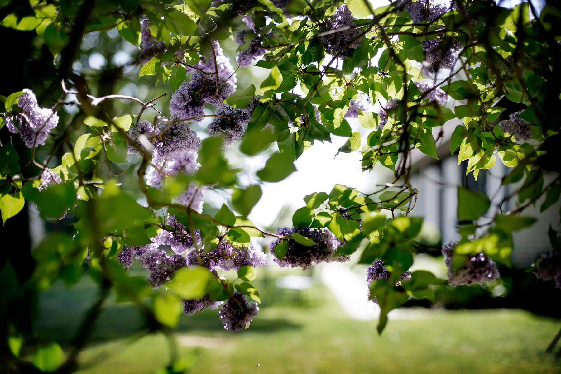 blogg-180520ambjorntorp8.jpg