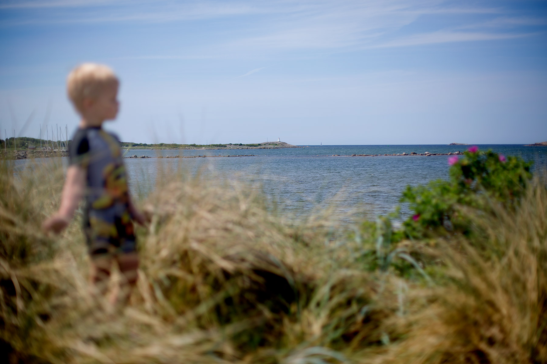 blogg-180525fodelsedag12.jpg