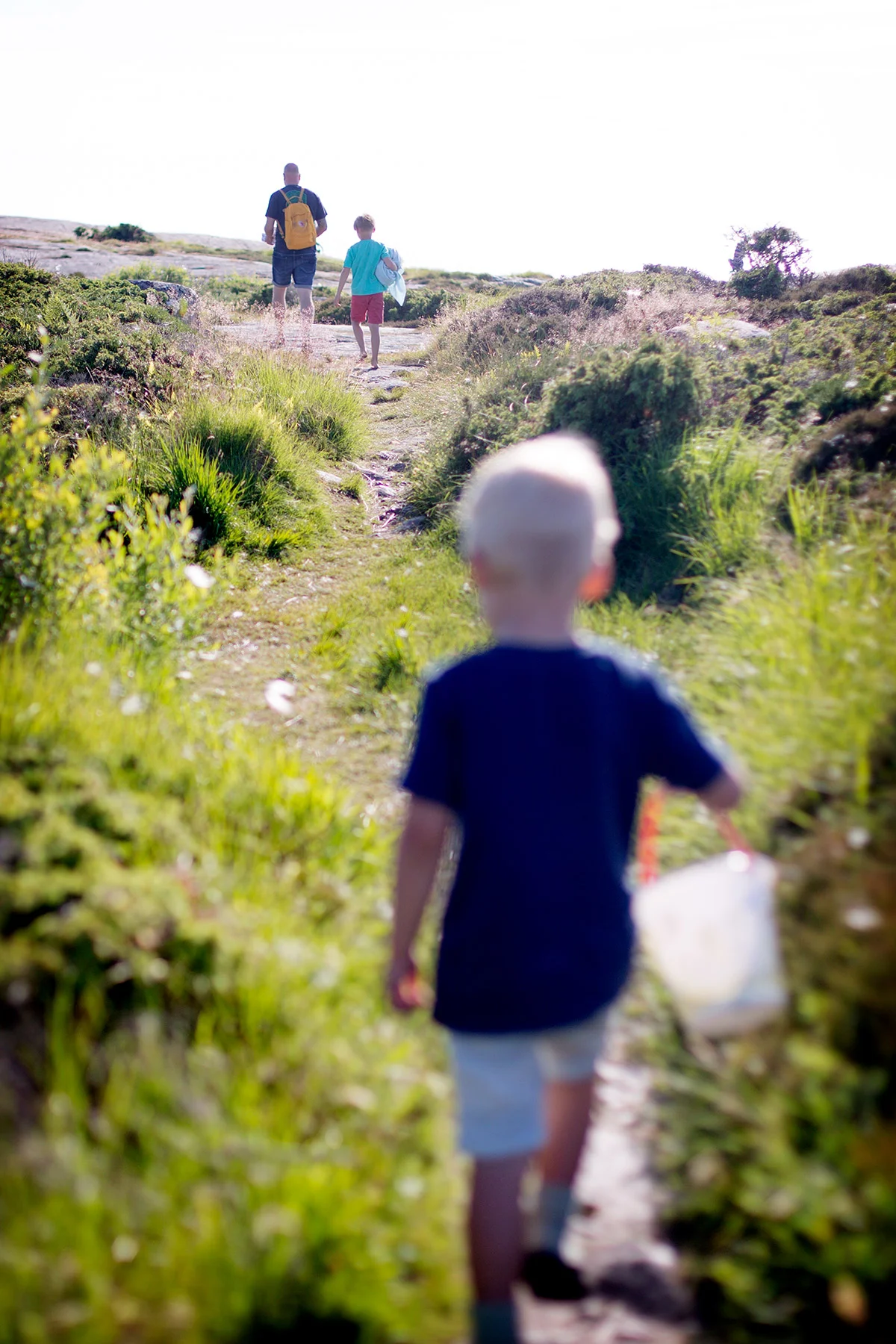 blogg-180607klippornakvall1.jpg