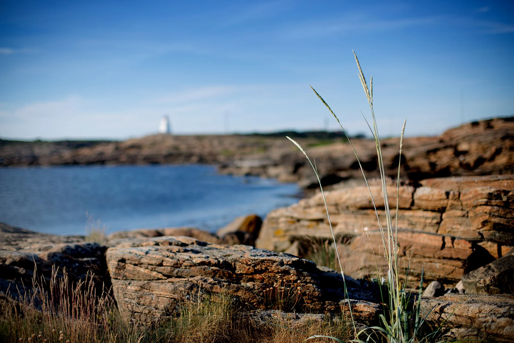 blogg-180607klippornakvall18.jpg