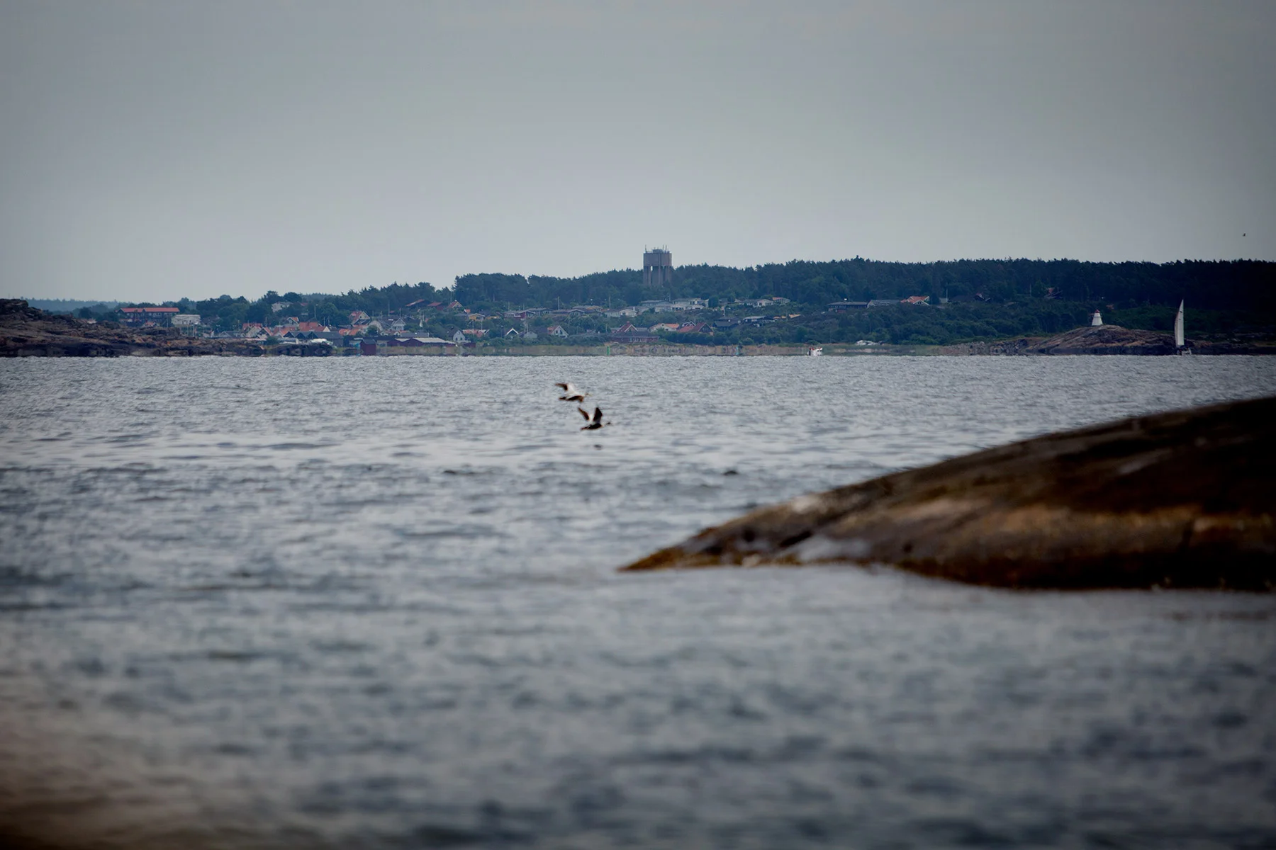 blogg-180610utpasjon4.jpg