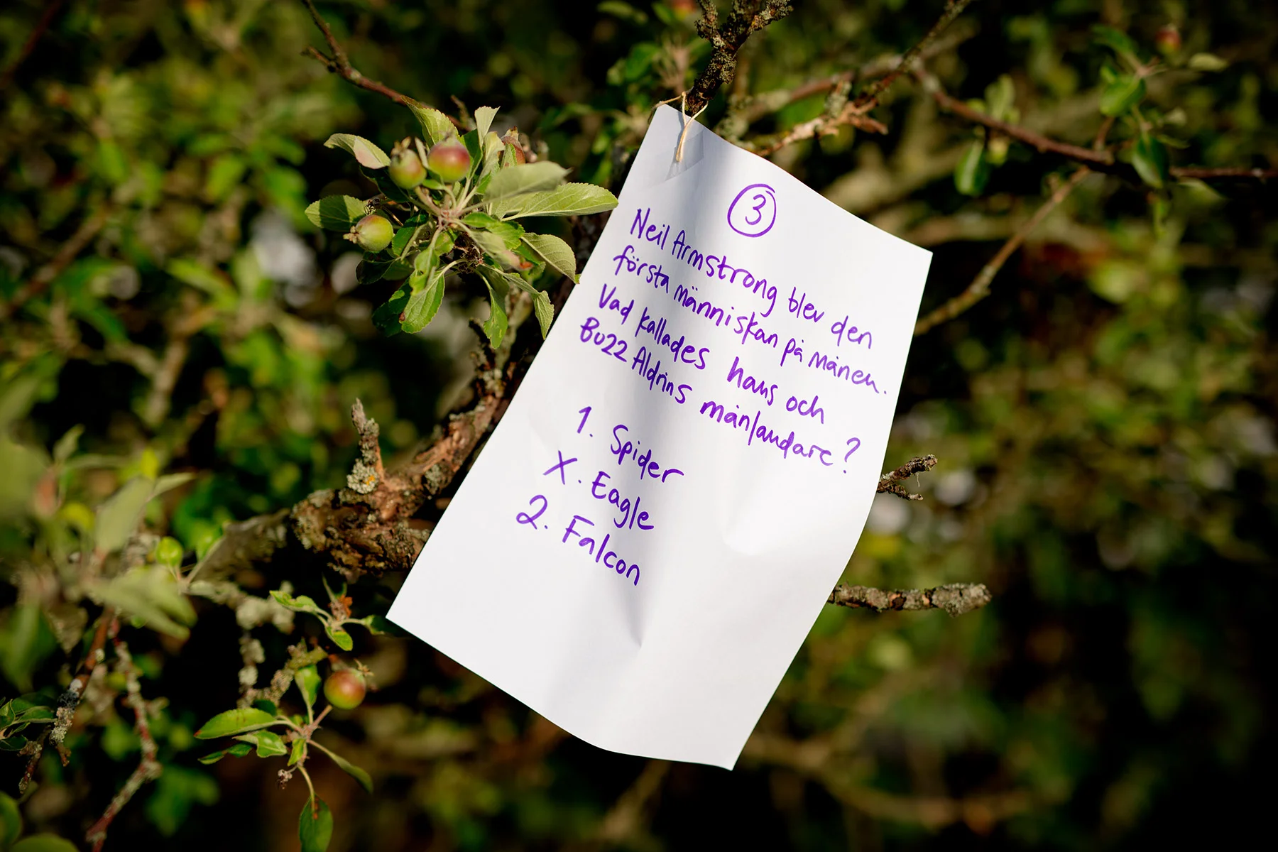 blogg-180622midsommar31.jpg