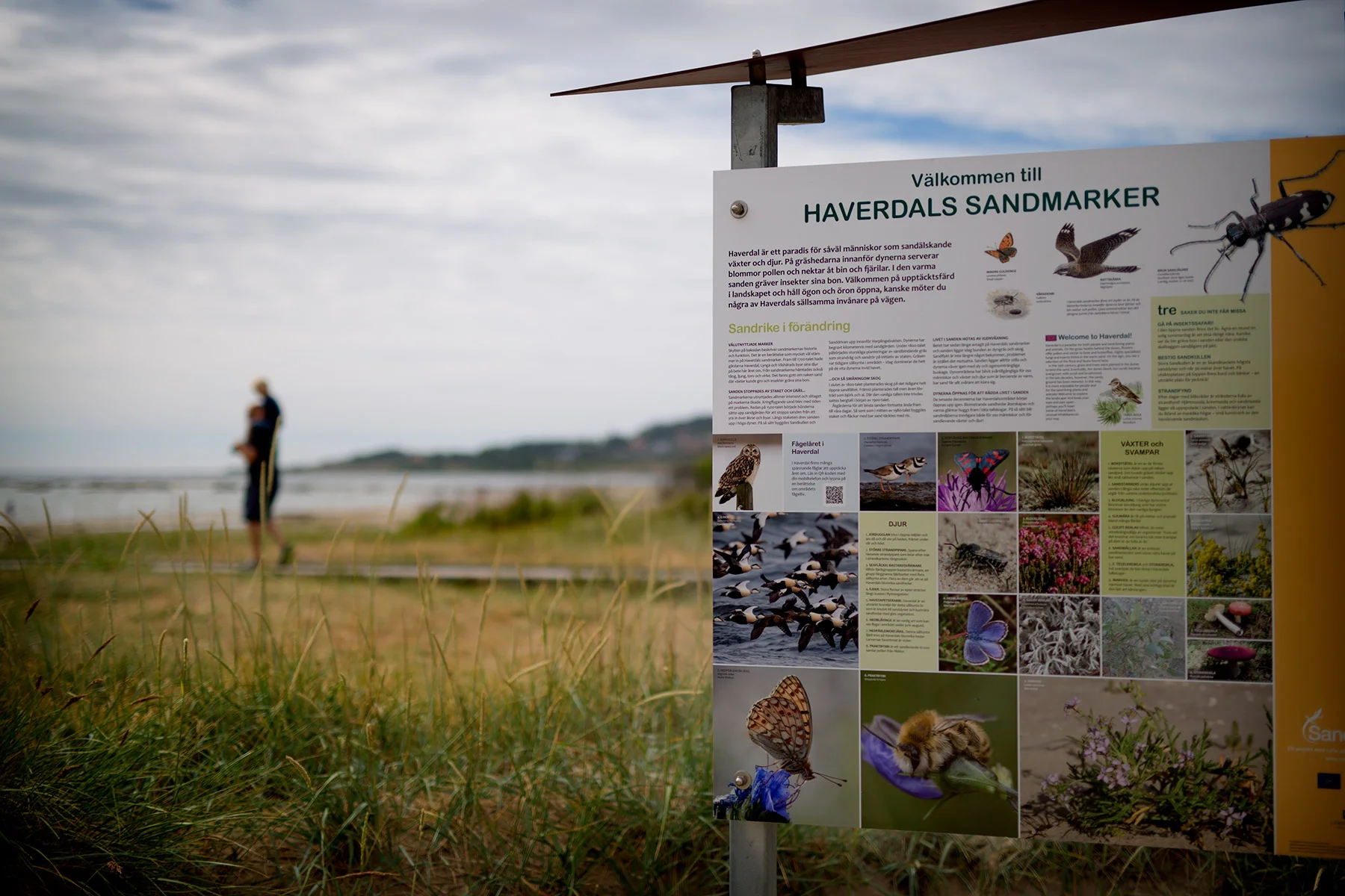 blogg-180625haverdalscamping10.jpg