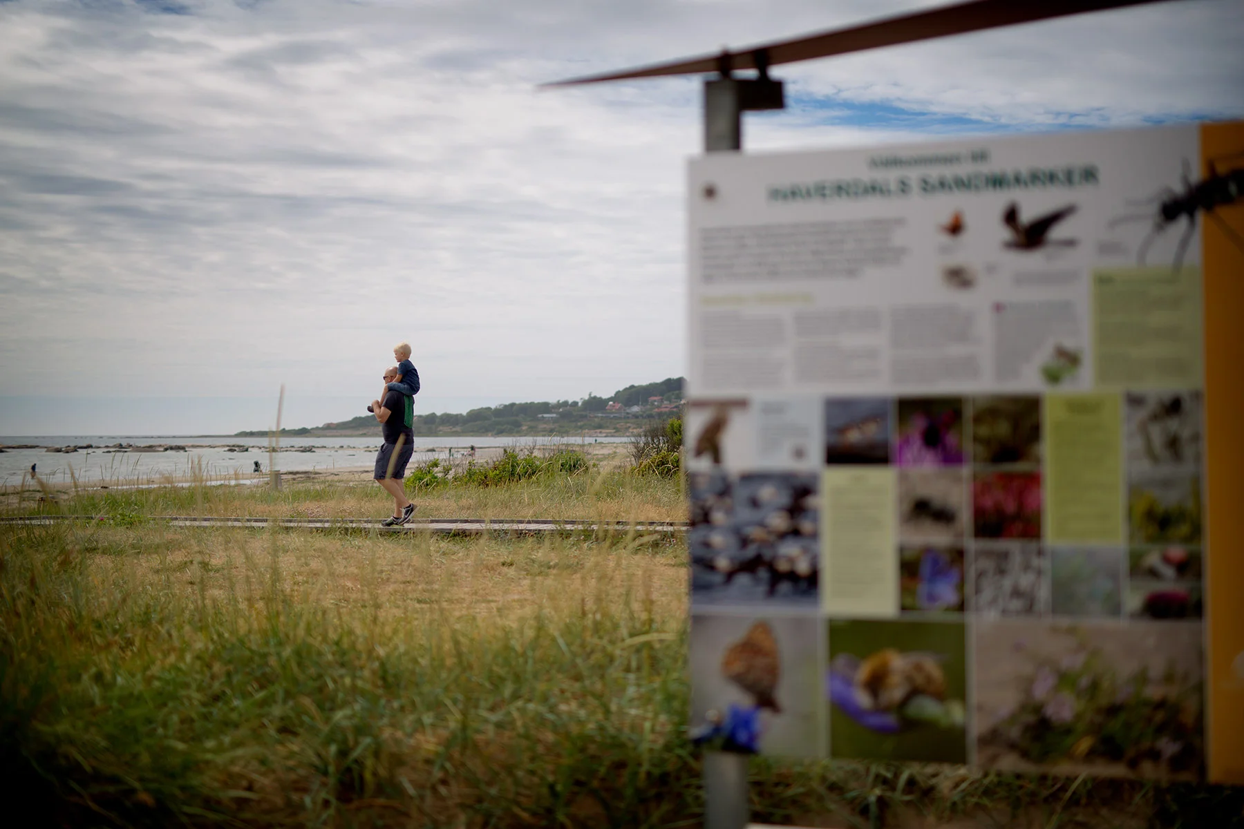 blogg-180625haverdalscamping9.jpg