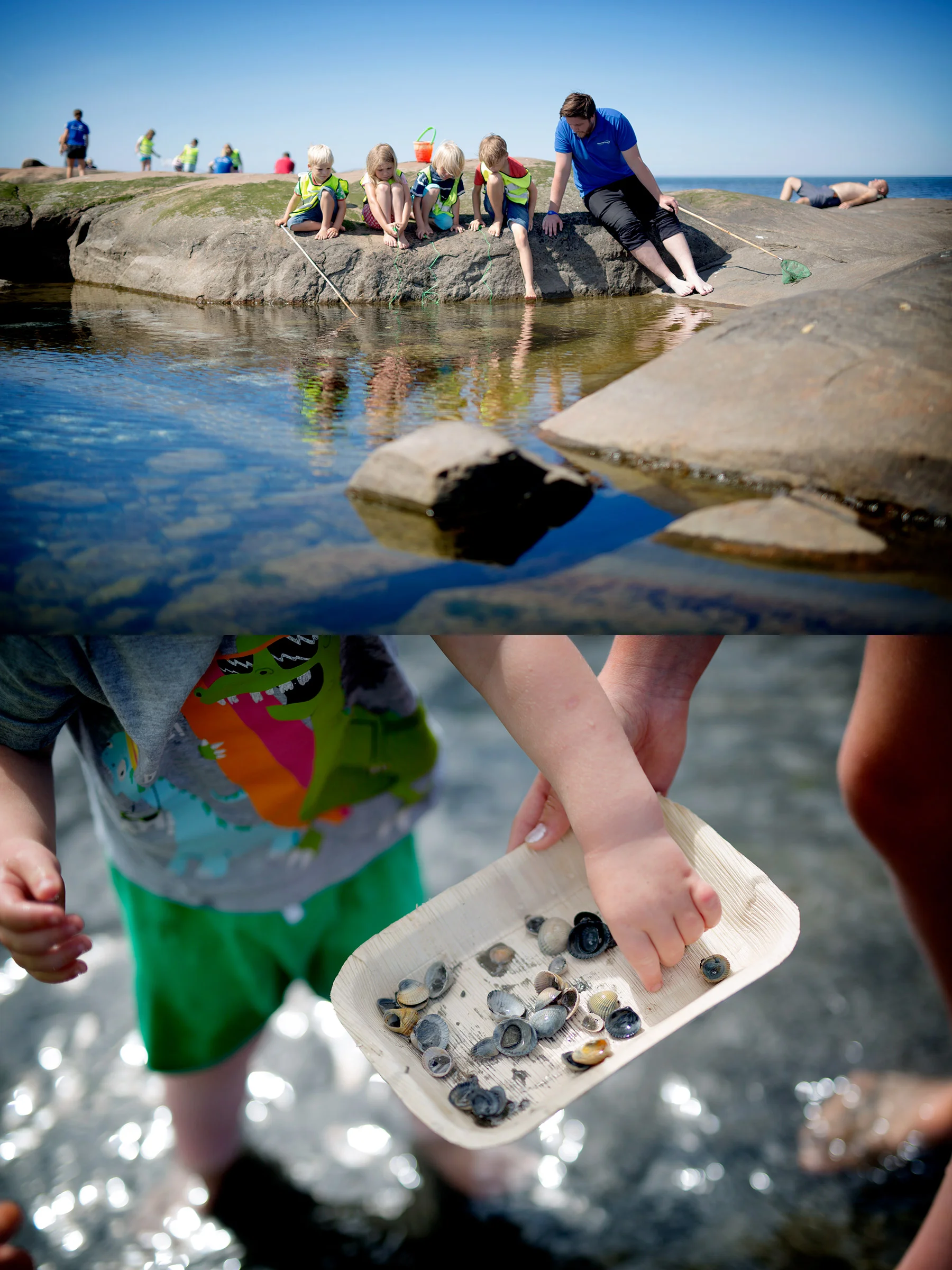 Tisdagsaktivitet: Strandfynd!