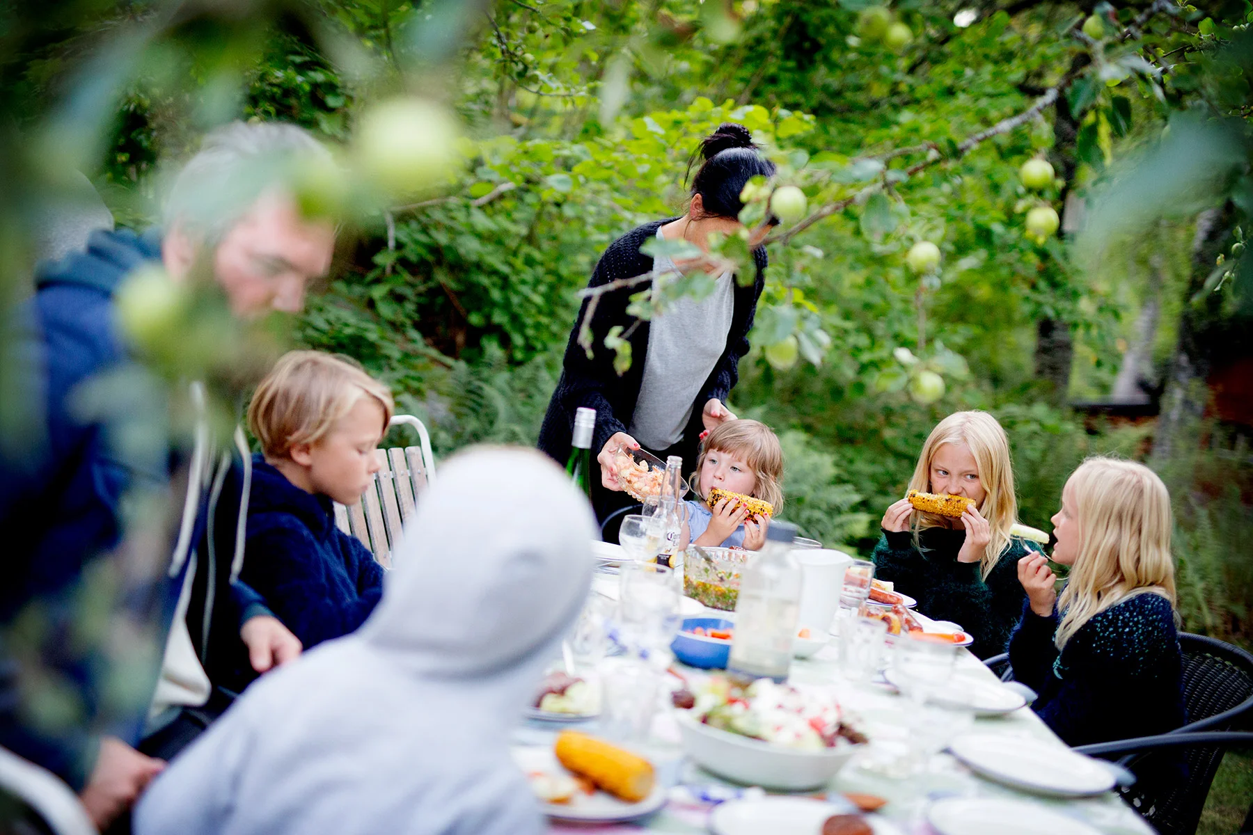 blogg-180712tilltorpet11.jpg