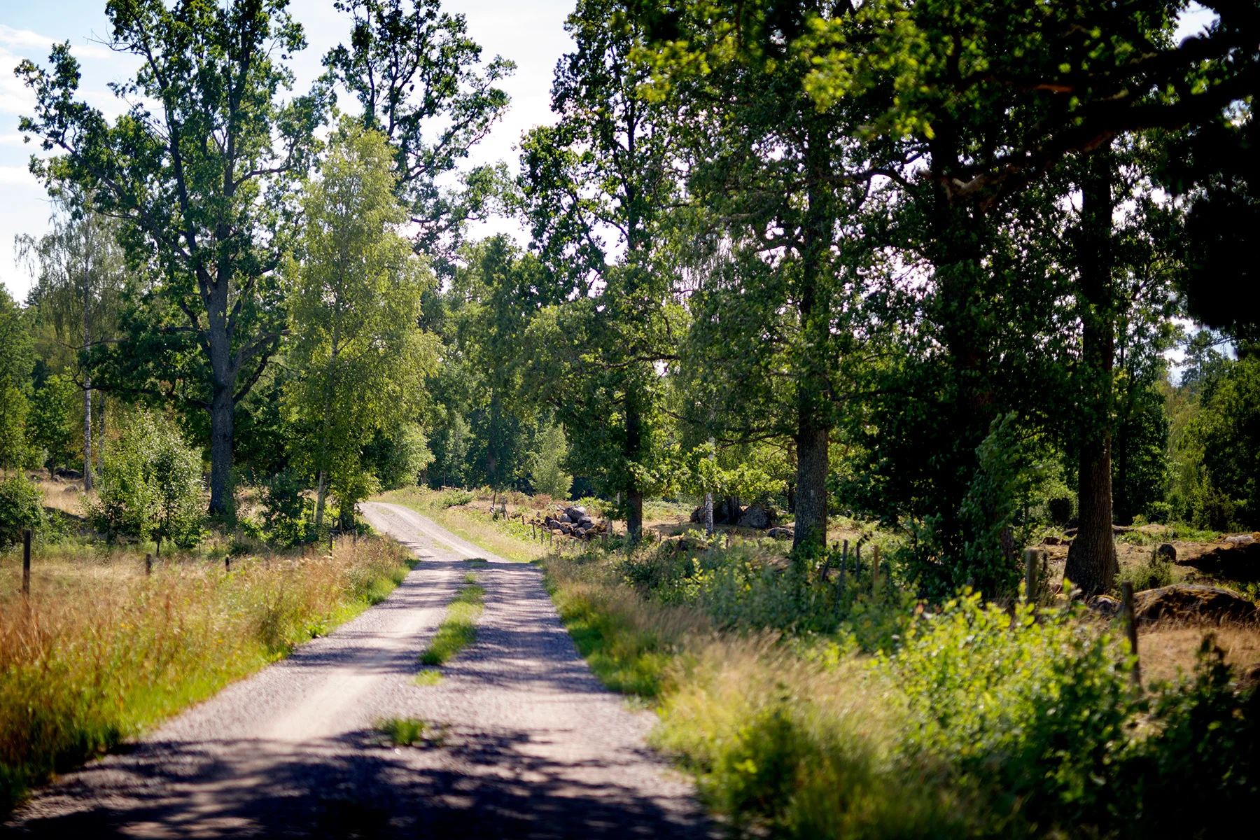 blogg-180712tilltorpetforst1.jpg