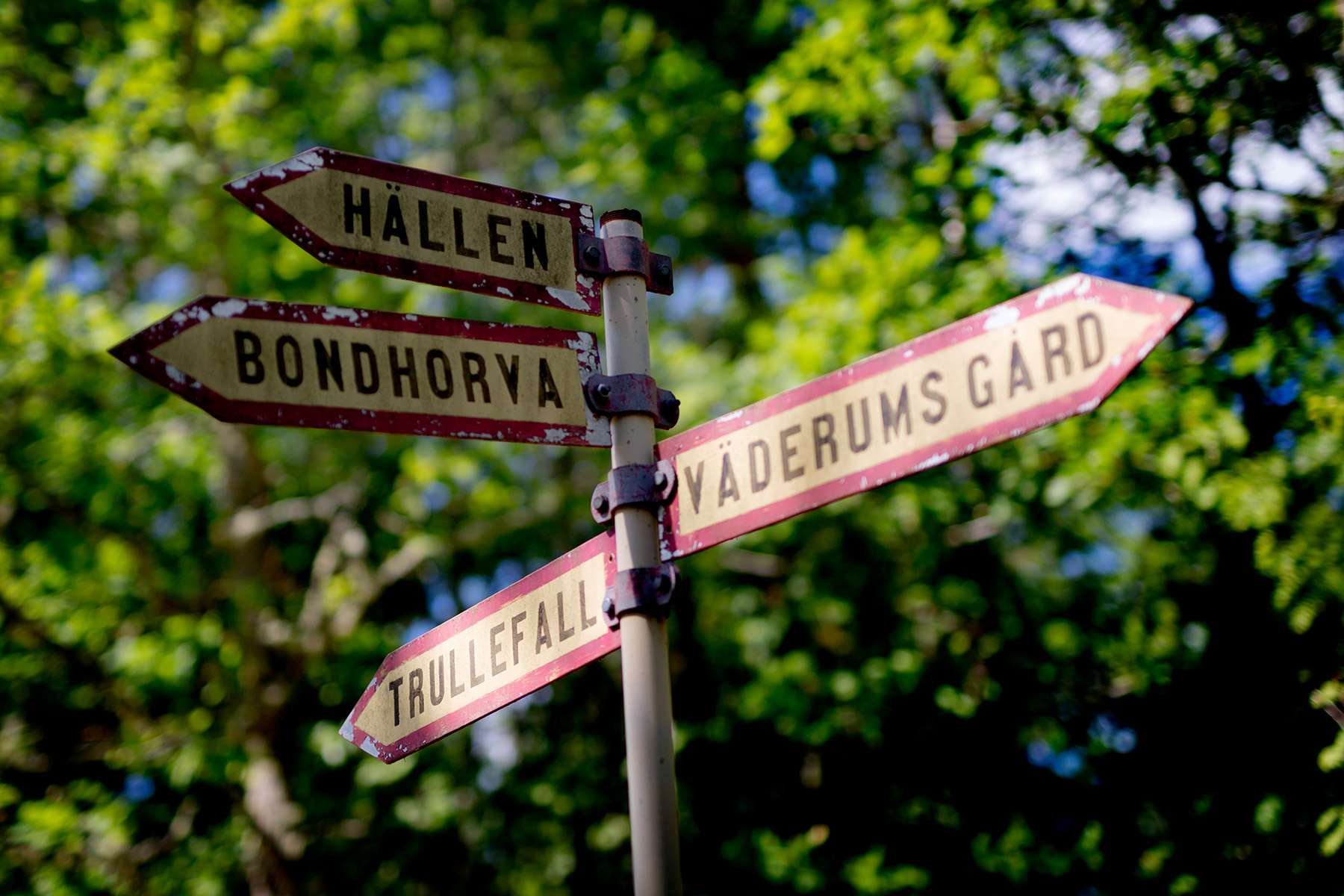 blogg-180712tilltorpetforst2.jpg
