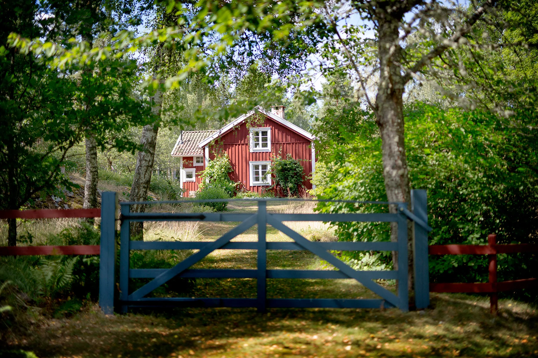 blogg-180712tilltorpetforst3.jpg