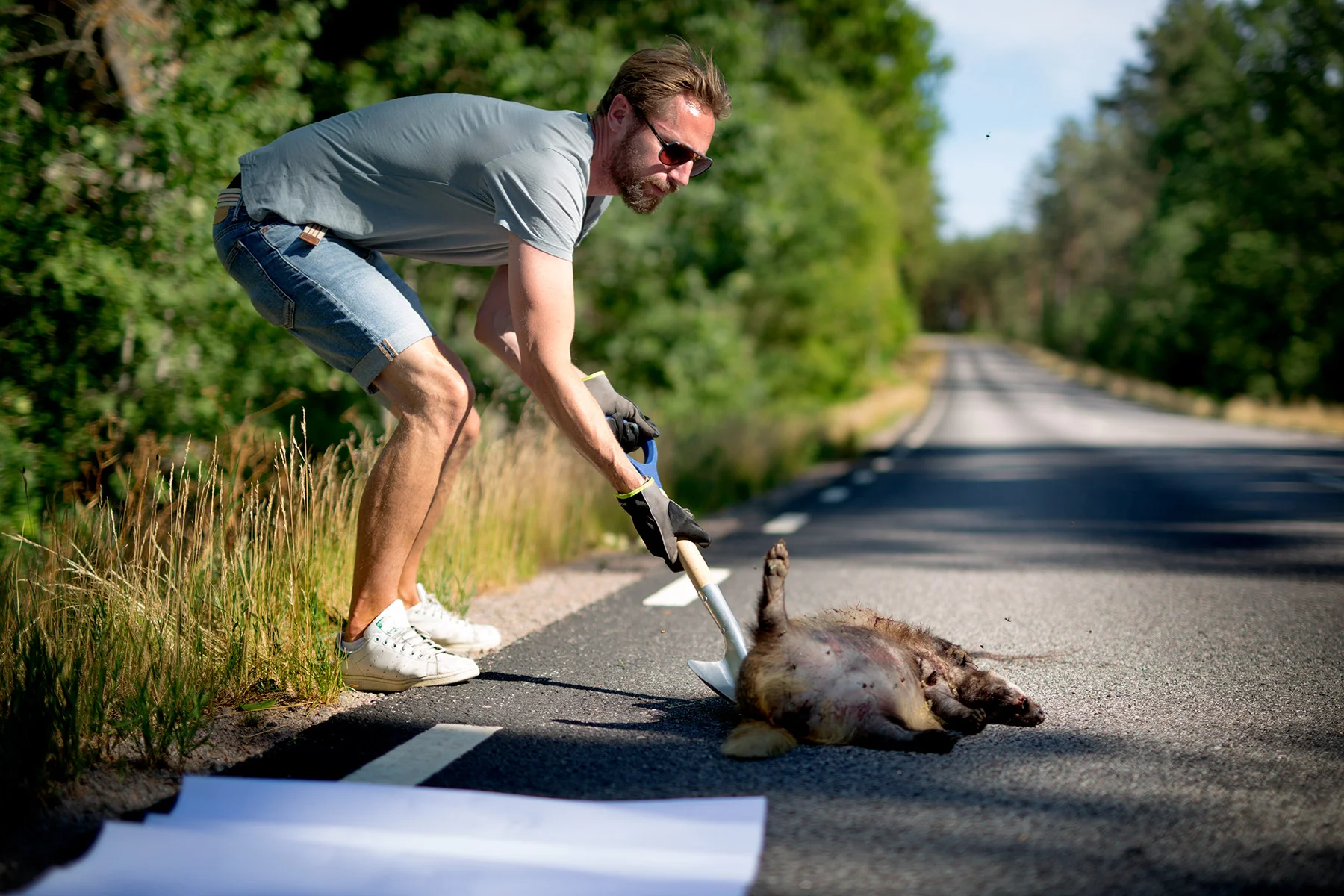 blogg-180713roadkill6.jpg