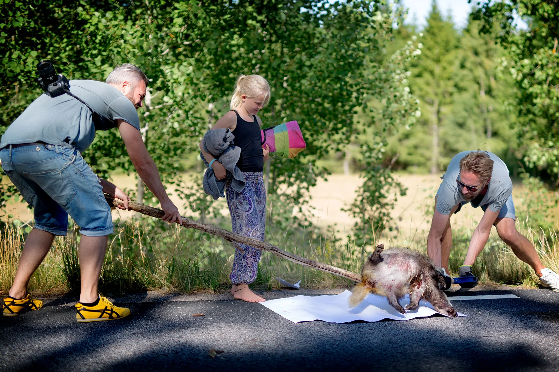 blogg-180713roadkill7.jpg