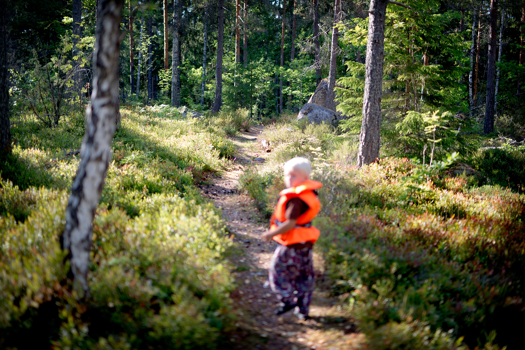 blogg-180713prastsjon4.jpg