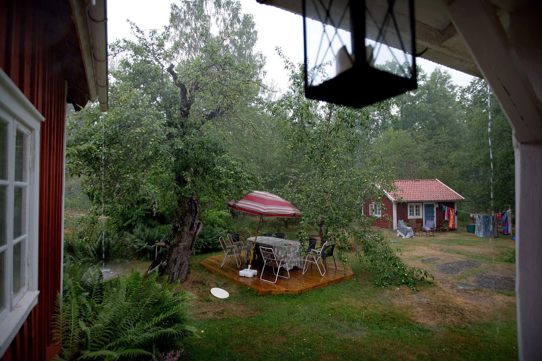 blogg-180714regn7.jpg