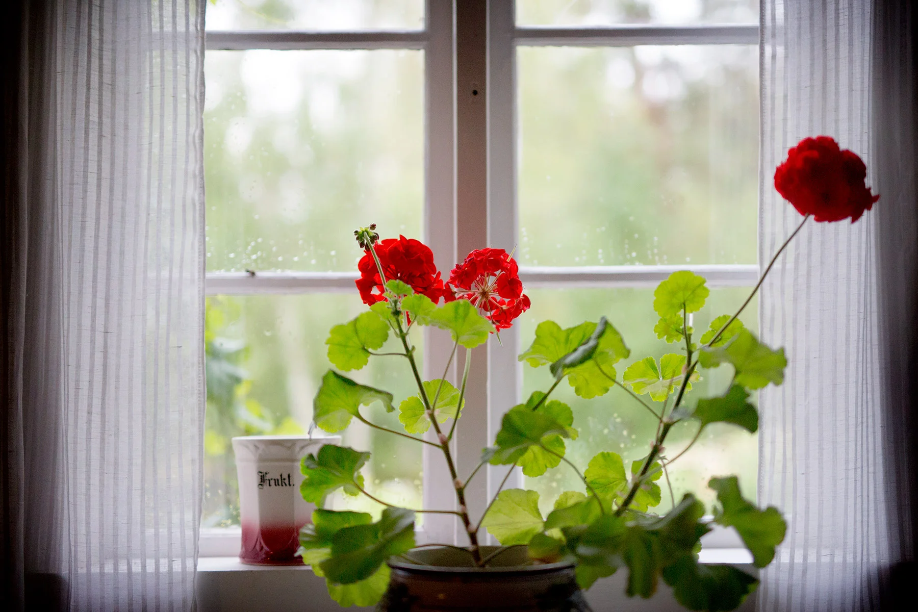 blogg-180714regn15.jpg