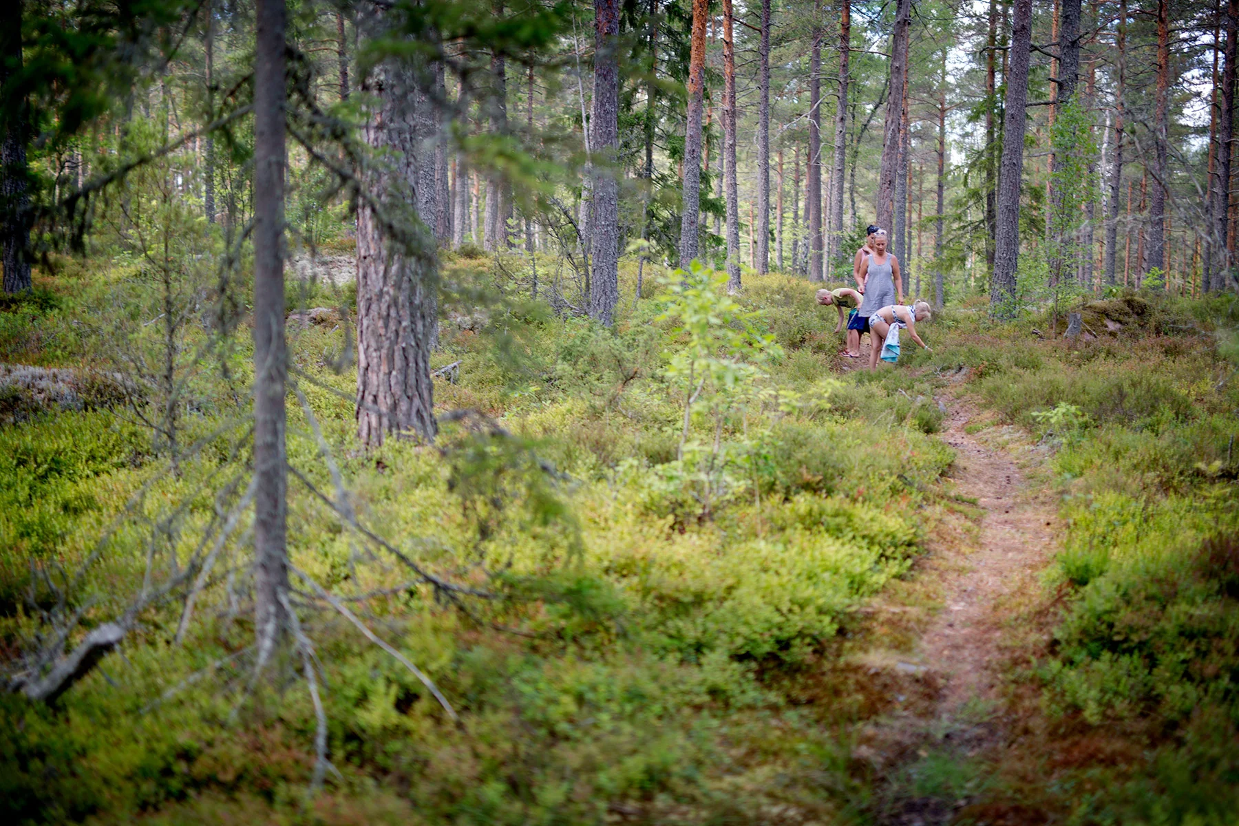 blogg-180715sistasjon15.jpg