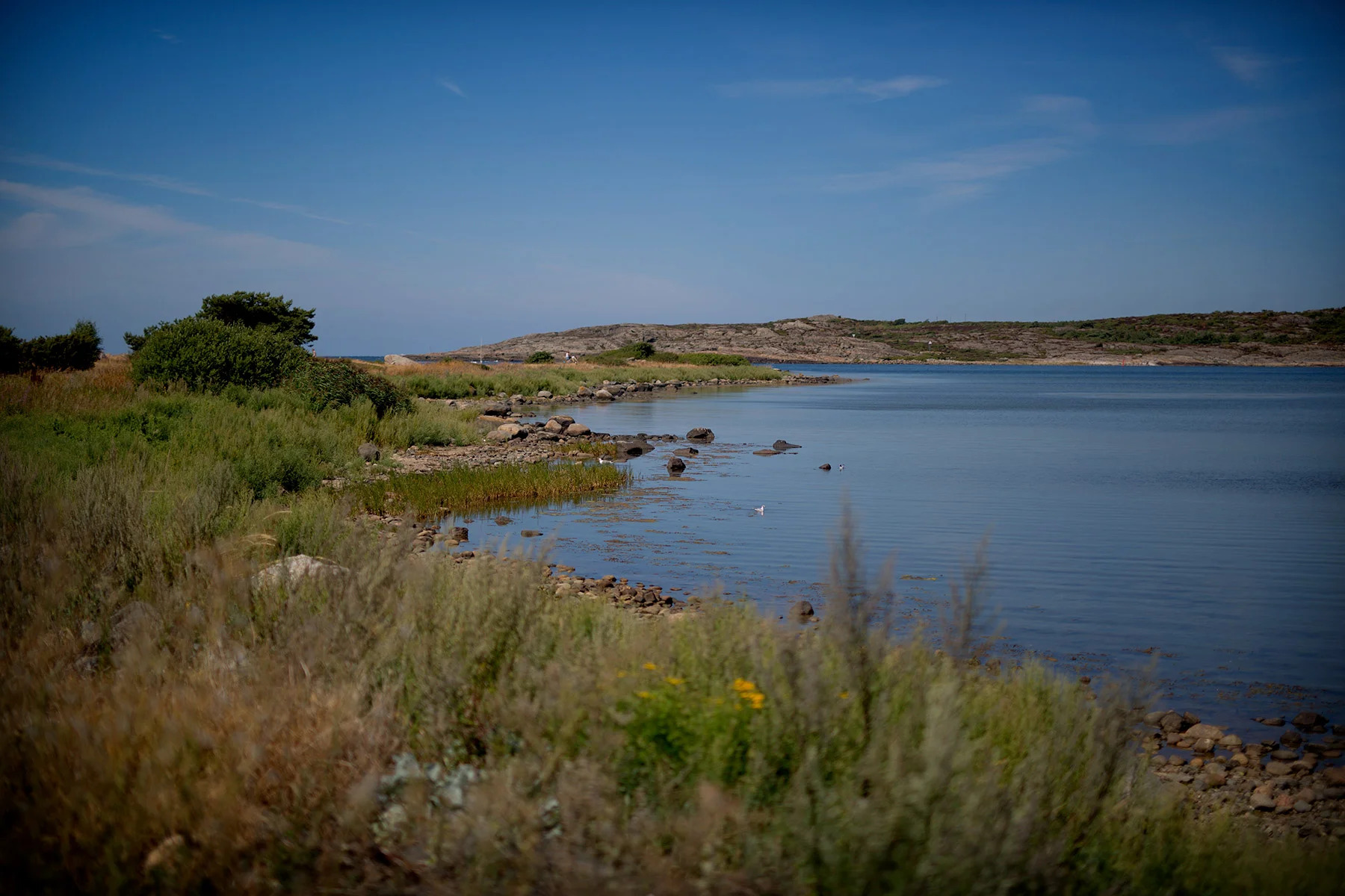 blogg-180720fyrenmedbjerler1.jpg