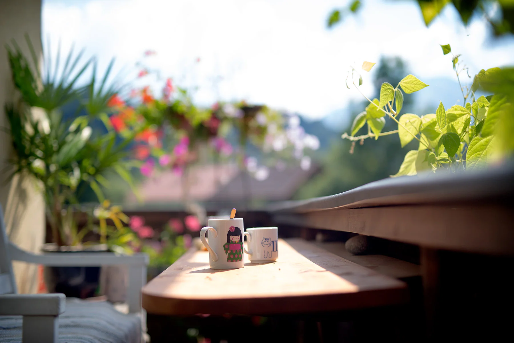 blogg-180726hopfgarten6.jpg