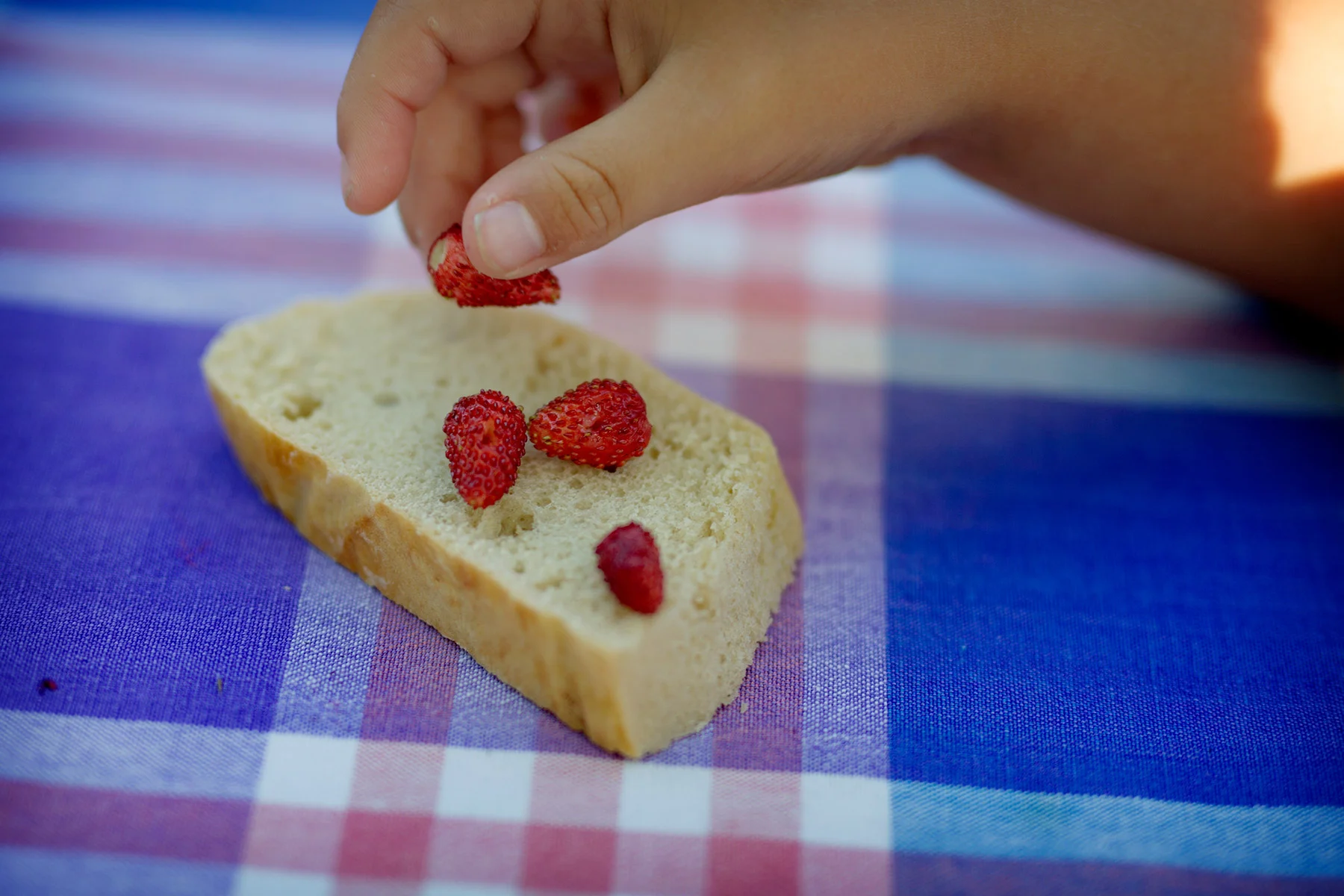 blogg-180727elsbethenfrukost6.jpg