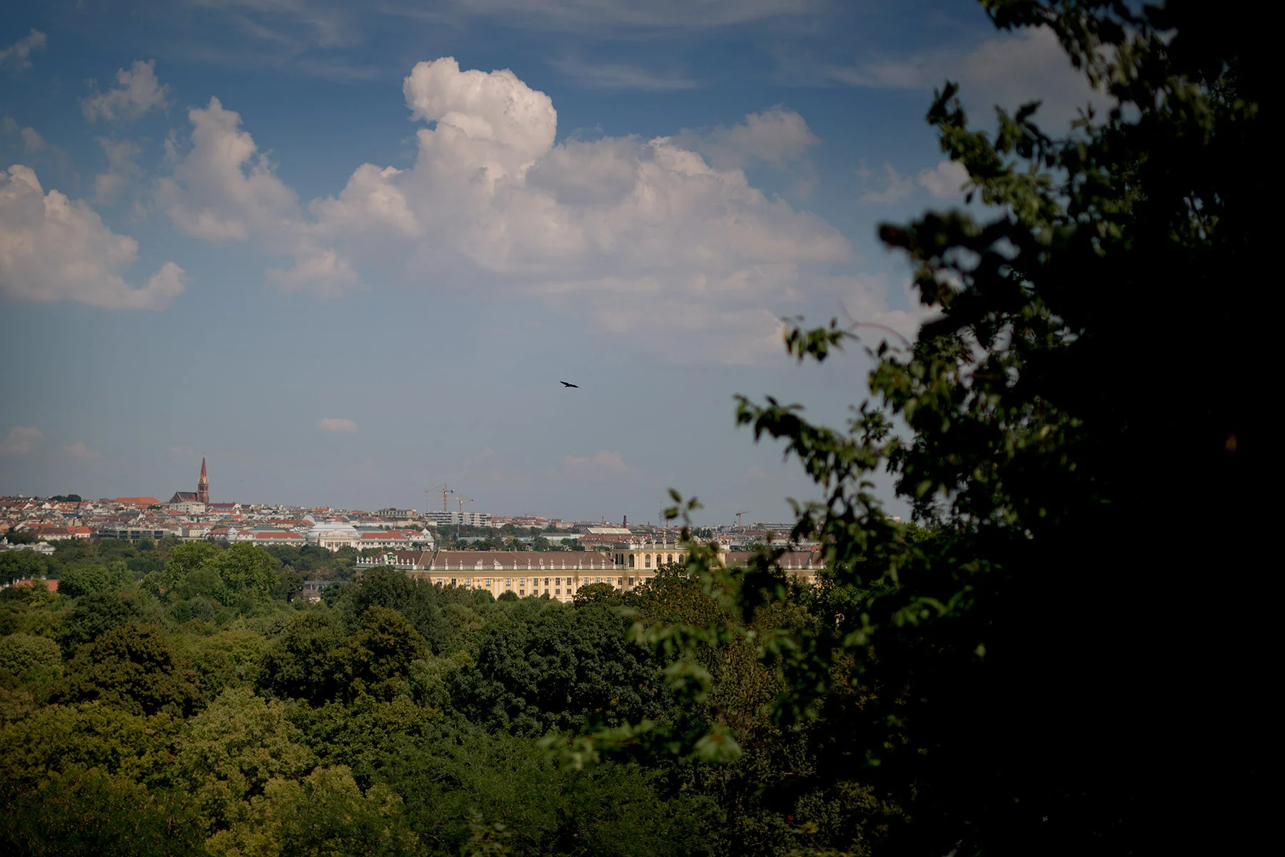 blogg-180803tiergarten30.jpg
