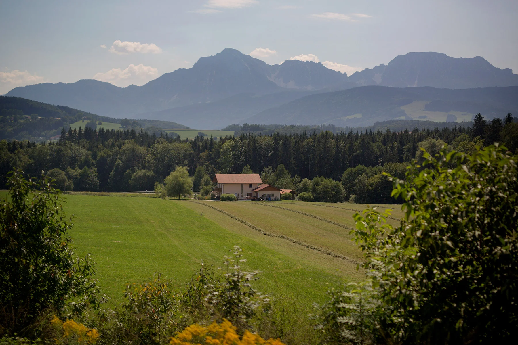 blogg-180804wienhopfgarten11.jpg