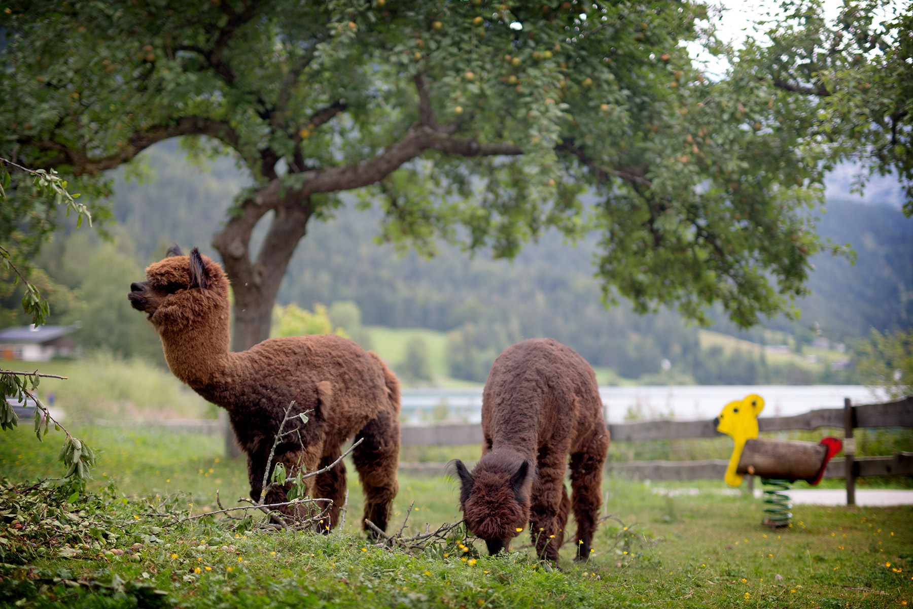 blogg-180807hintersteinersee14.jpg